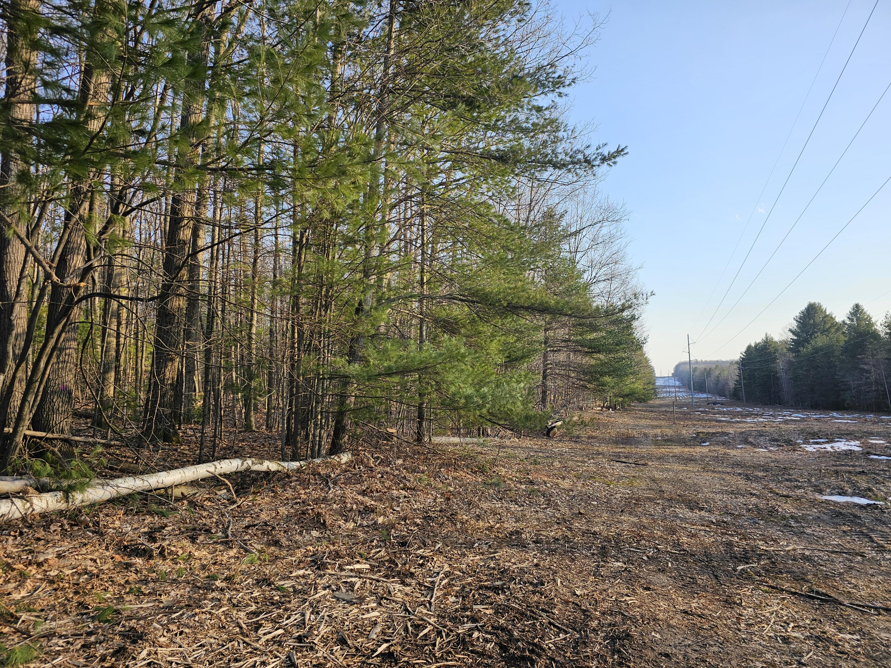 3379 S Extension Road