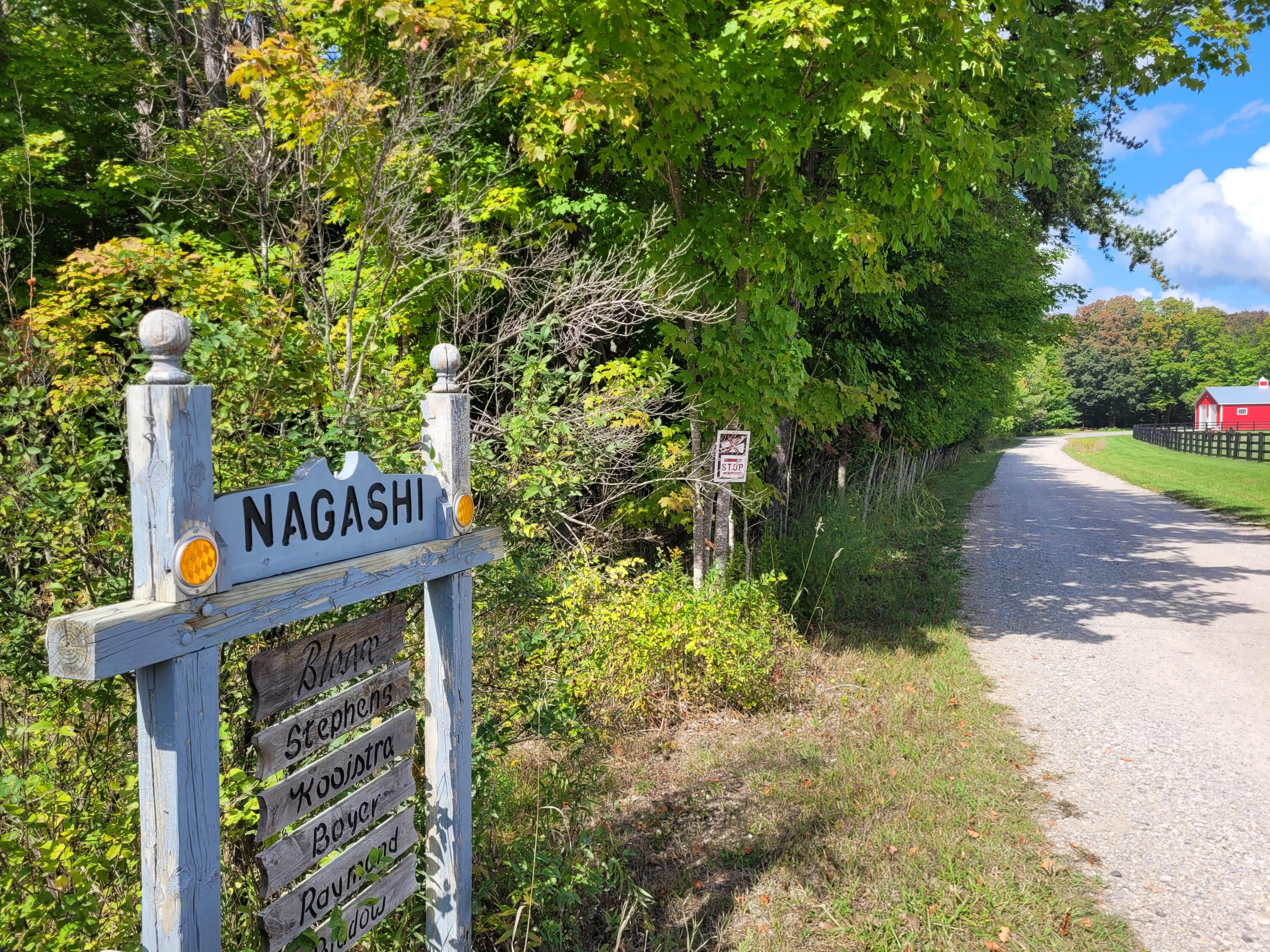 Nagashi Drive