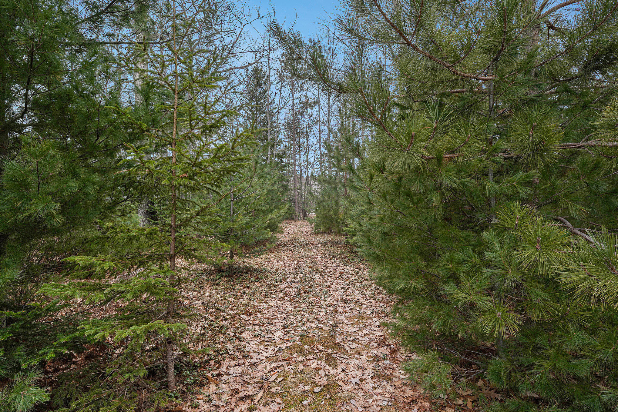 1162 N Black River Road