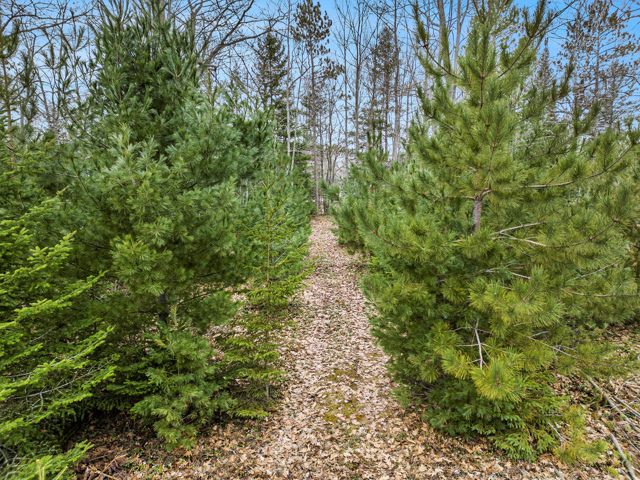 1162 N Black River Road