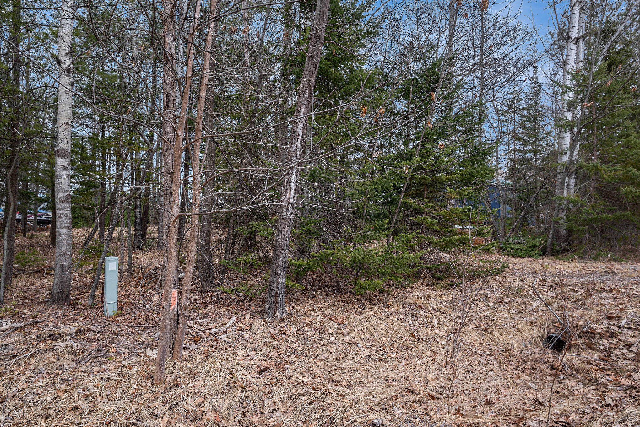 1162 N Black River Road