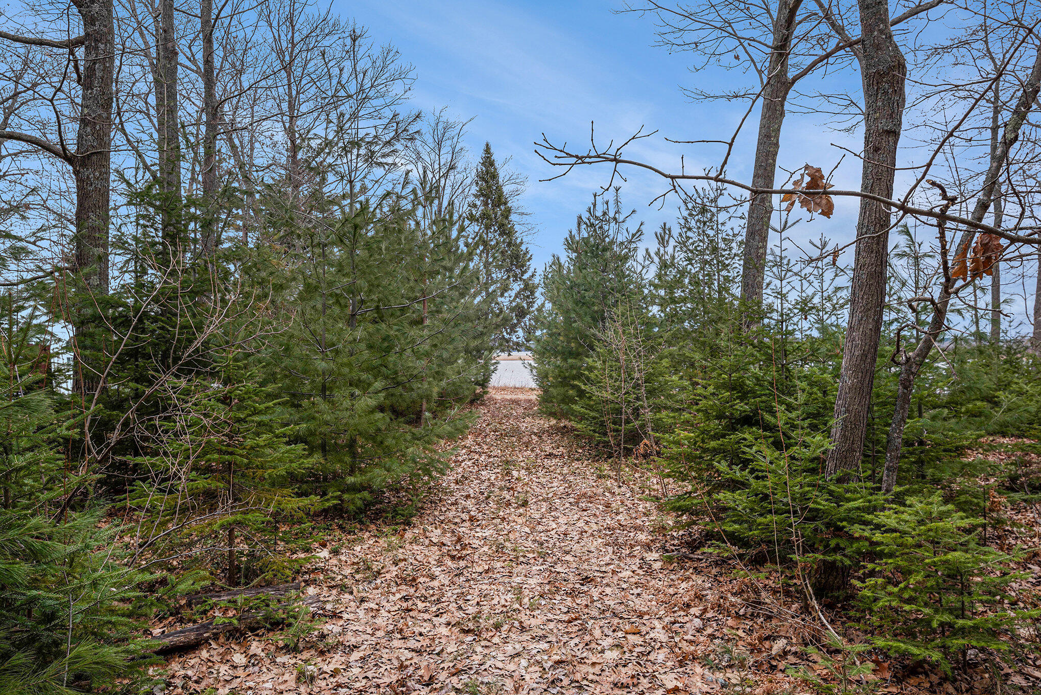 1162 N Black River Road