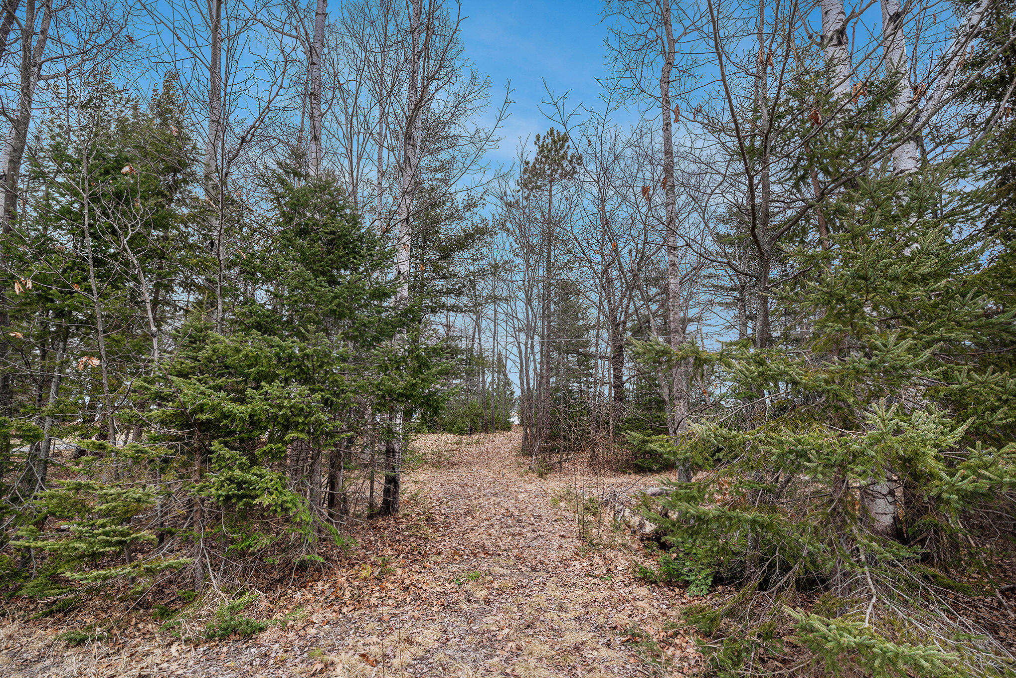 1162 N Black River Road