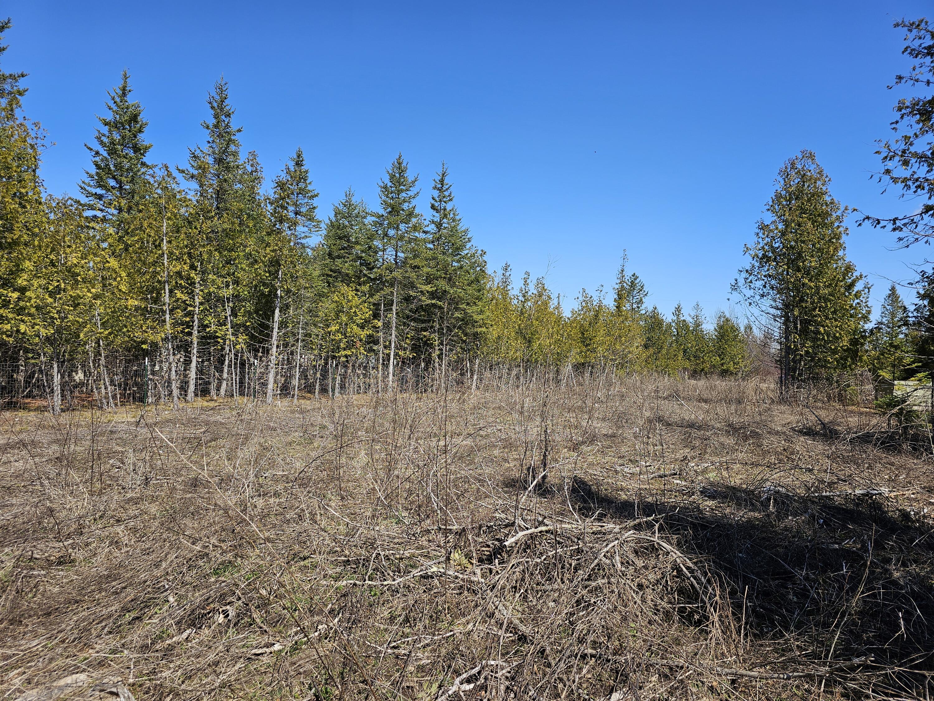 6600 Strawflower Lane