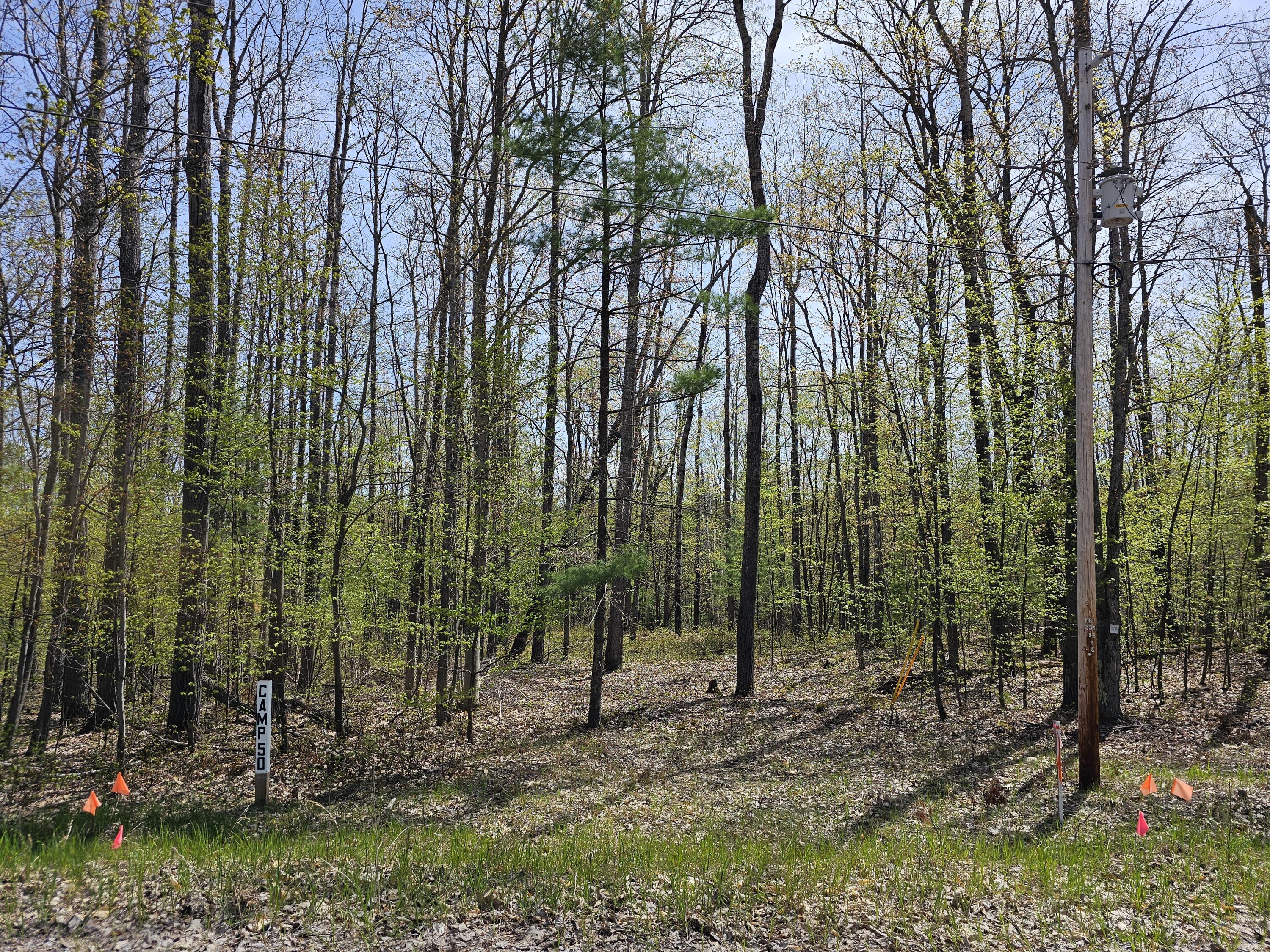16599 Timber Line Drive