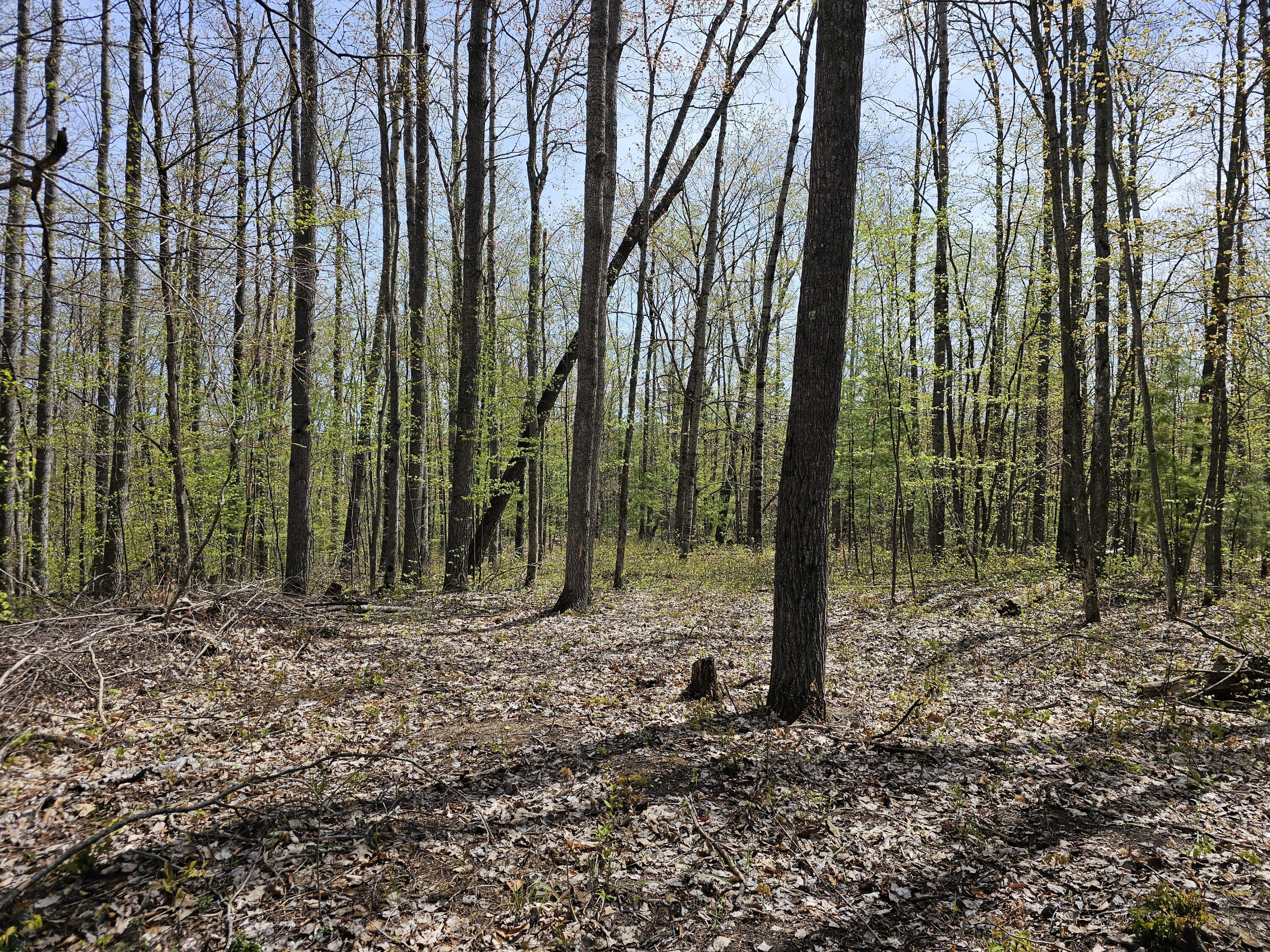 16599 Timber Line Drive