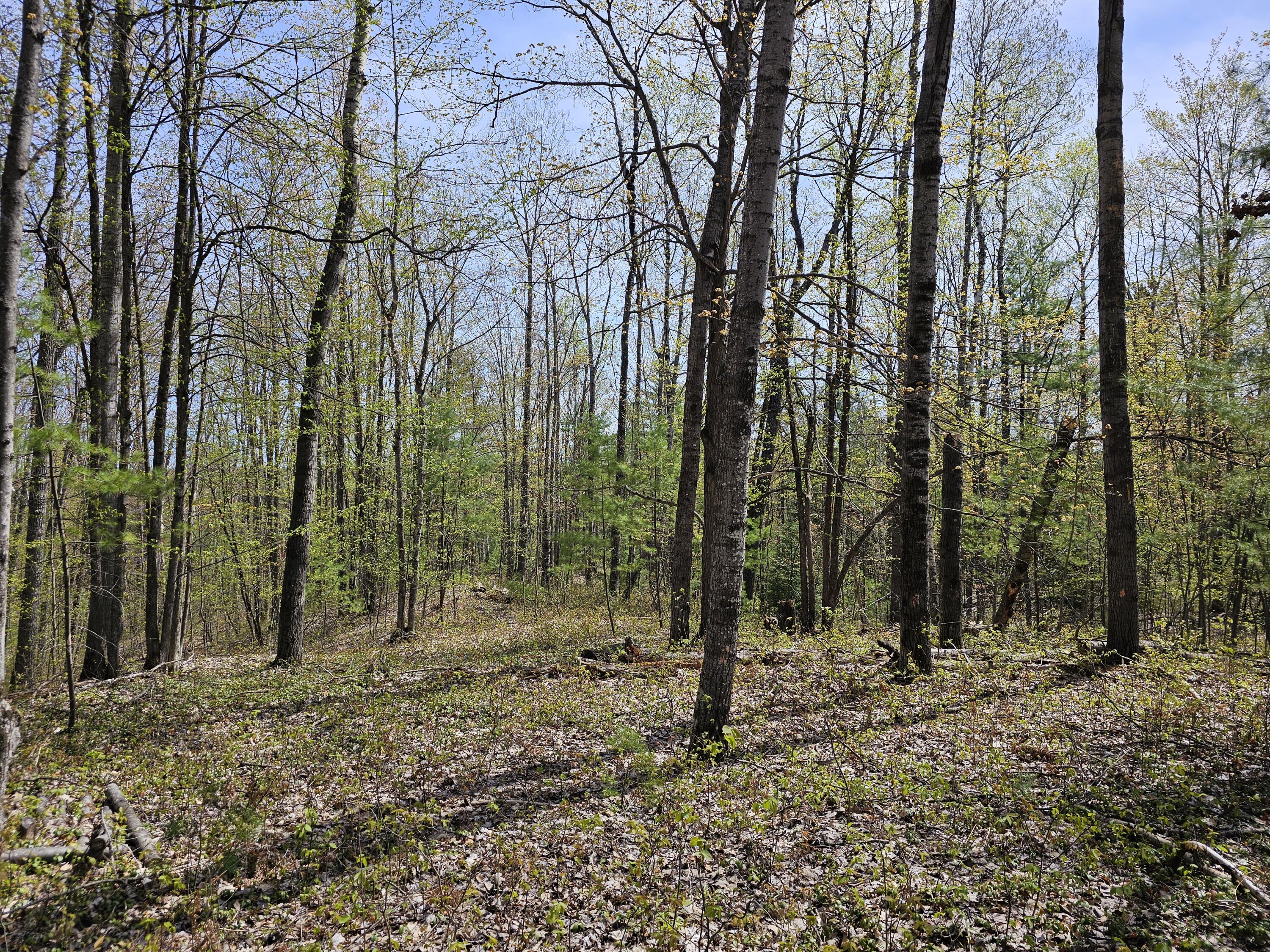 16599 Timber Line Drive