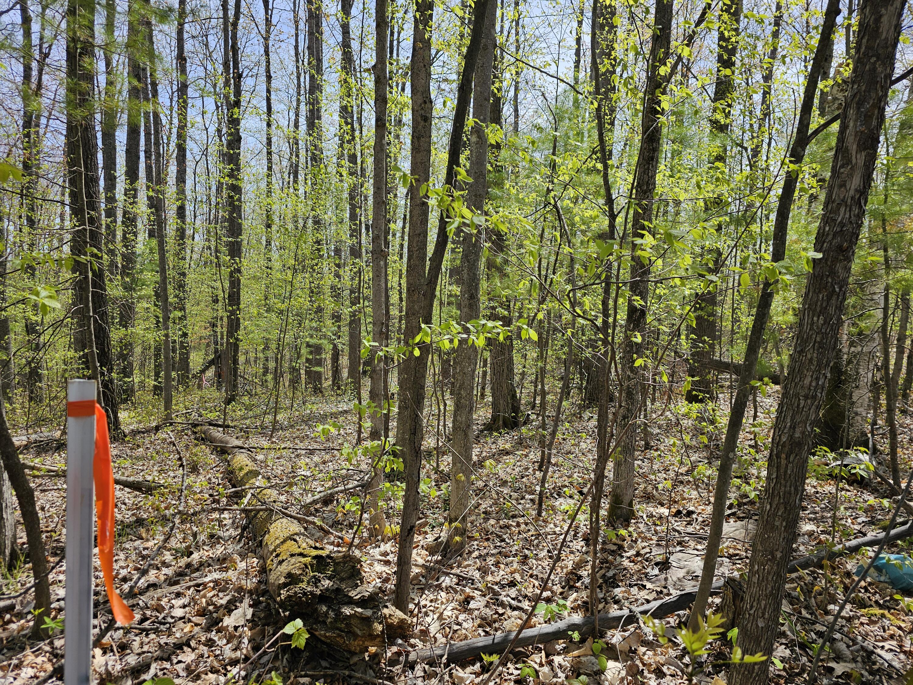 16599 Timber Line Drive