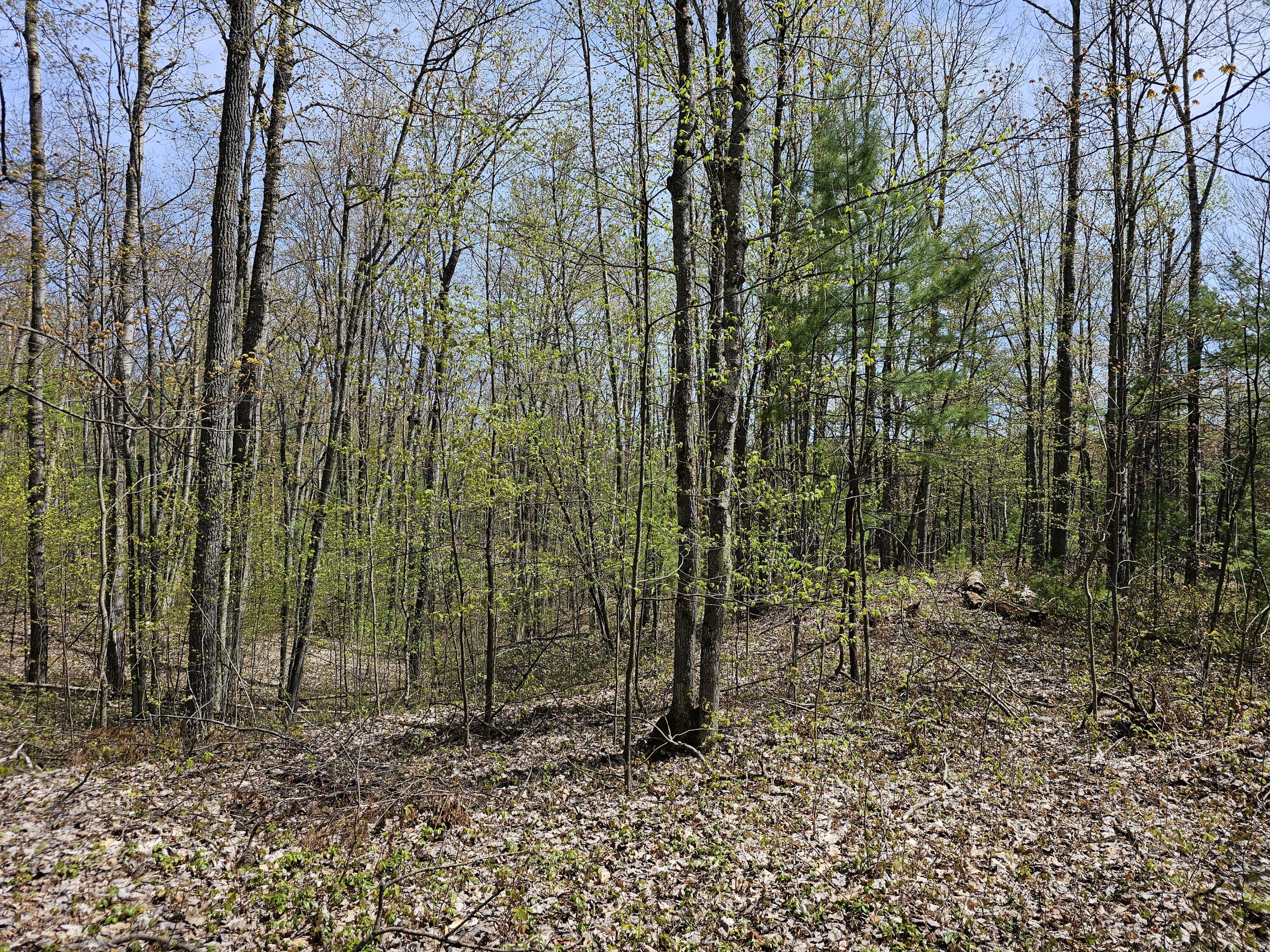 16599 Timber Line Drive