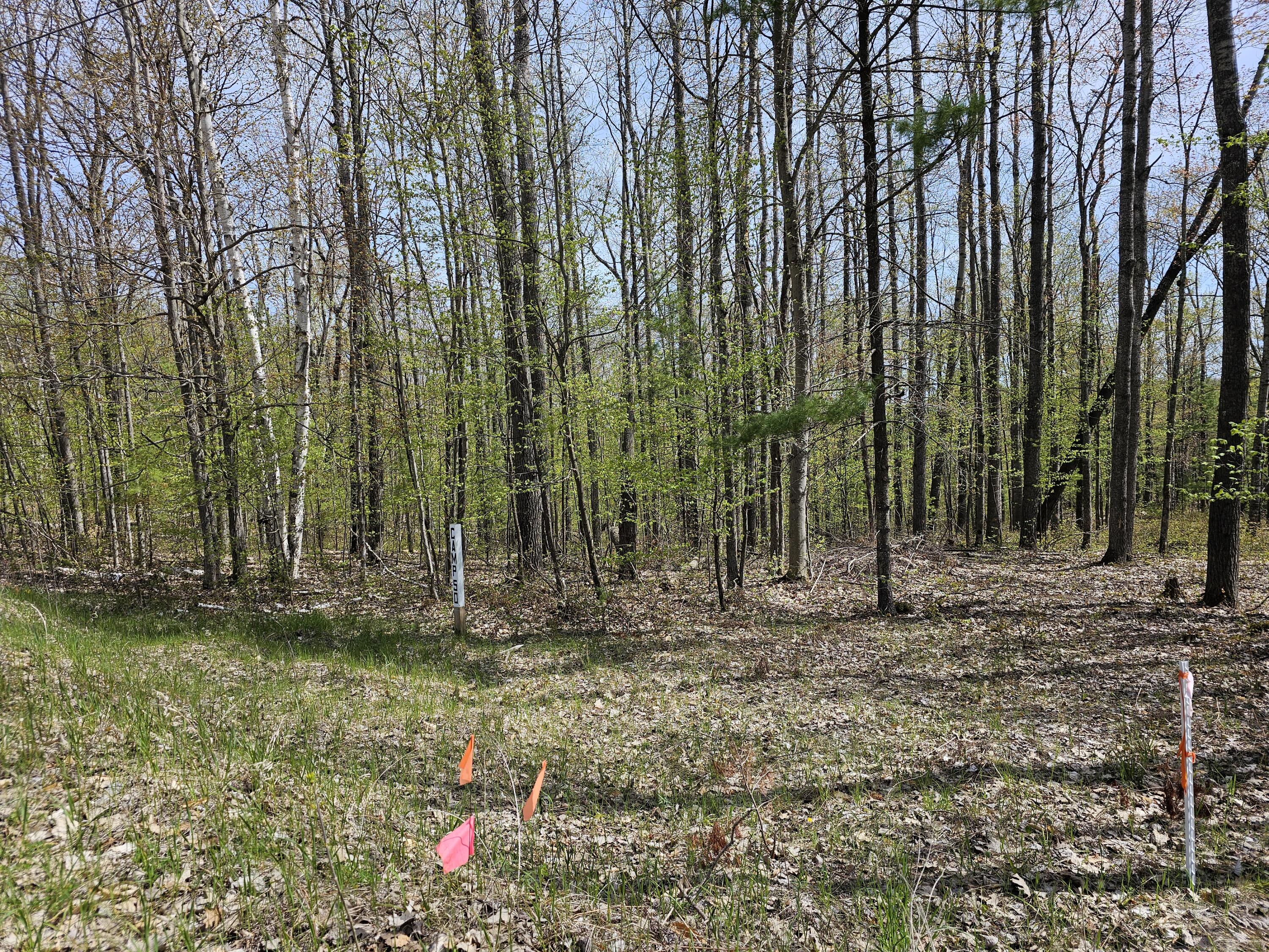 16599 Timber Line Drive
