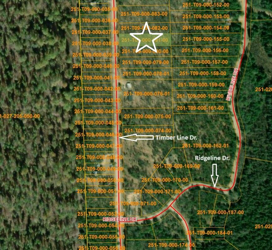 16599 Timber Line Drive