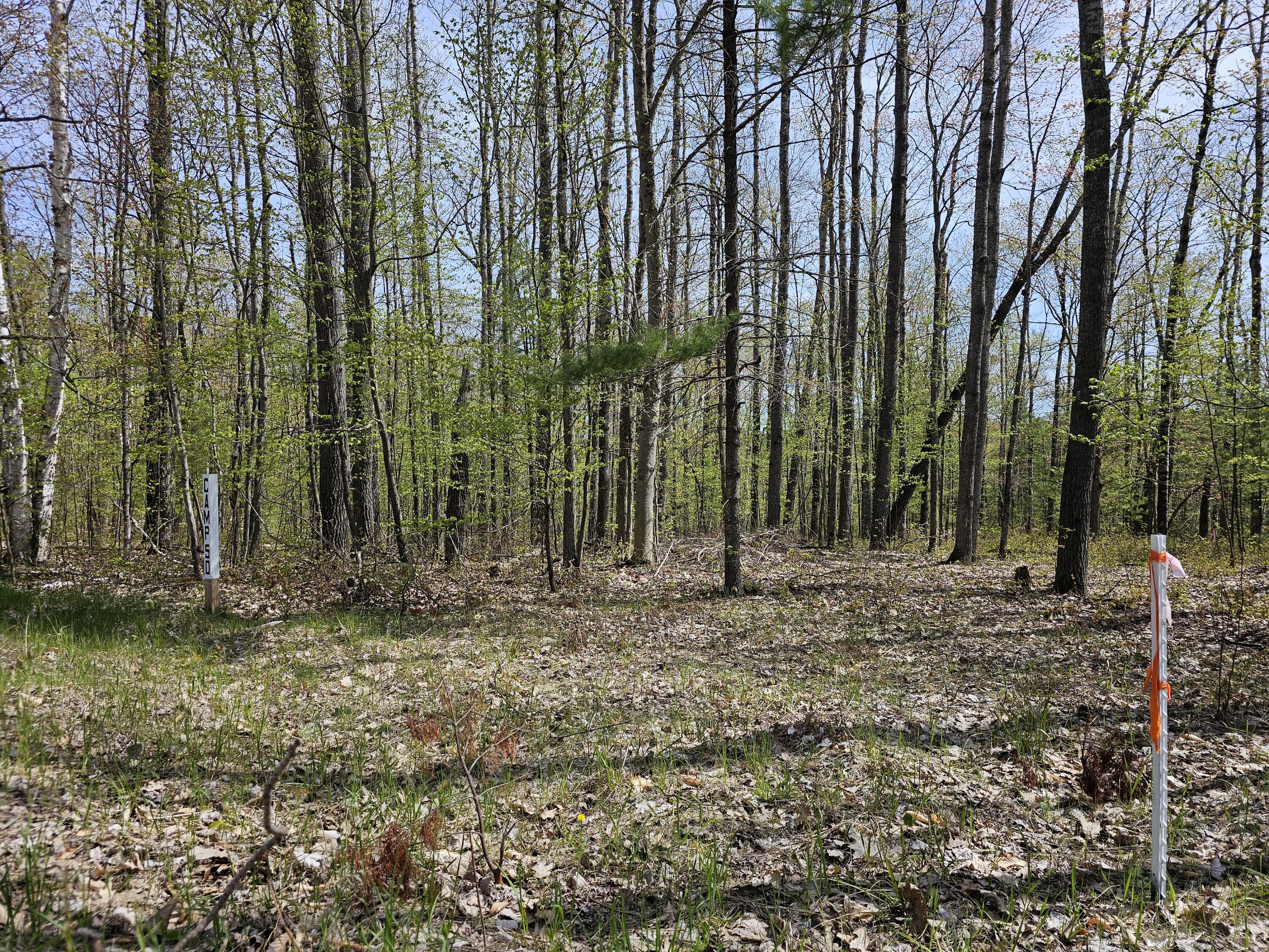 16599 Timber Line Drive