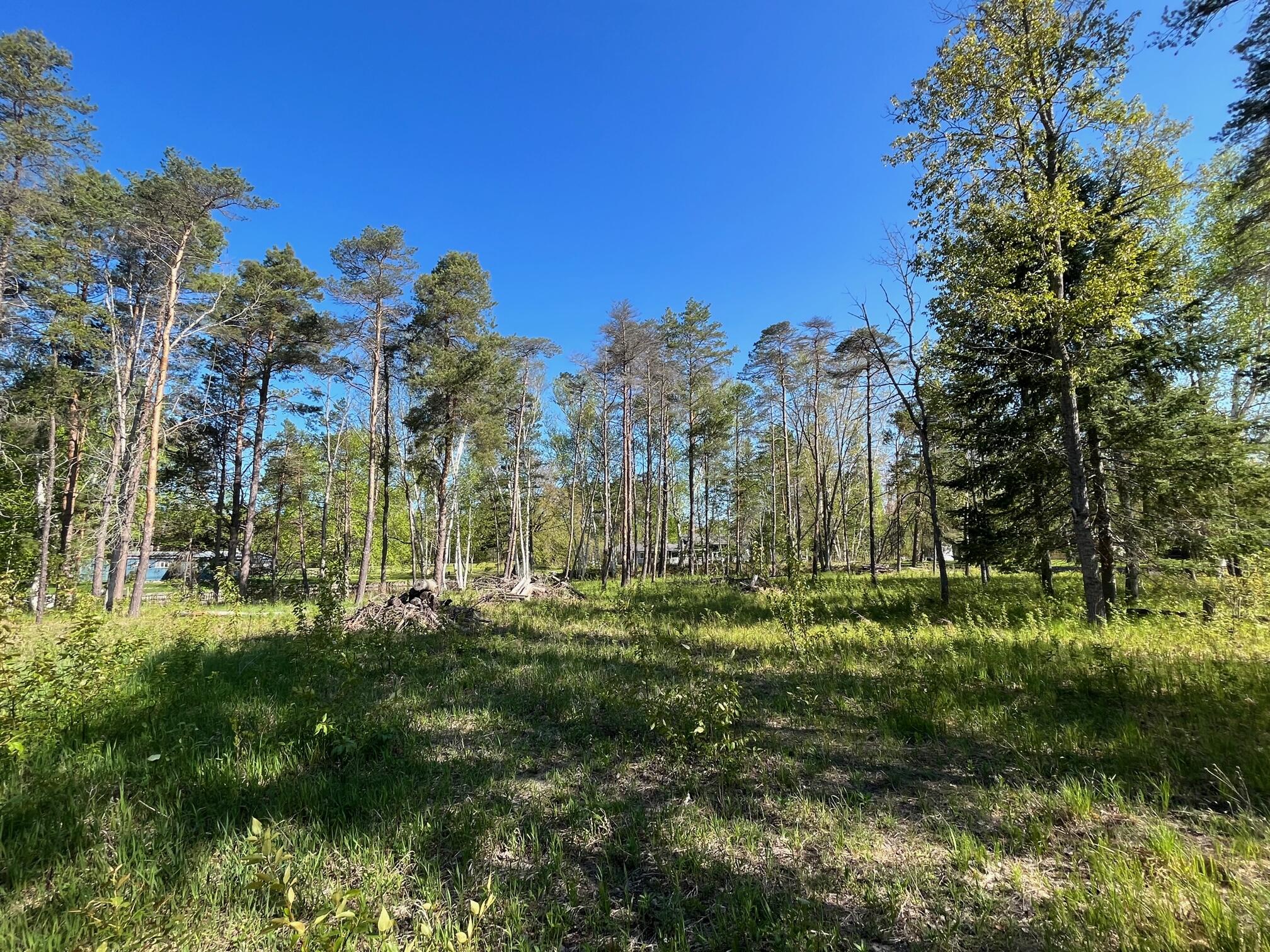 8145 Marathon Way, LOT 36