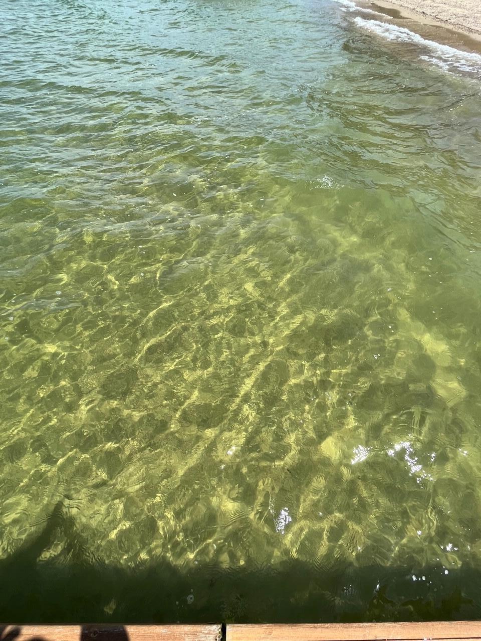 7104 Arrowhead Shores