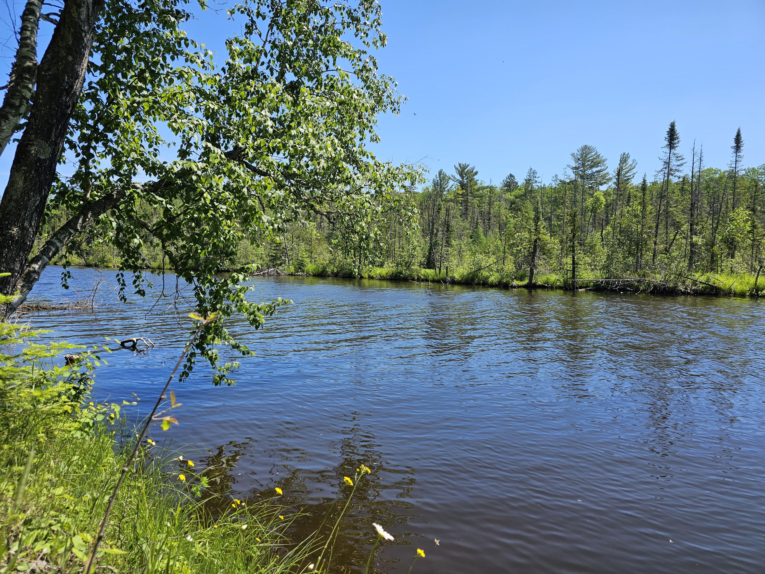 7735 Riverbend Drive