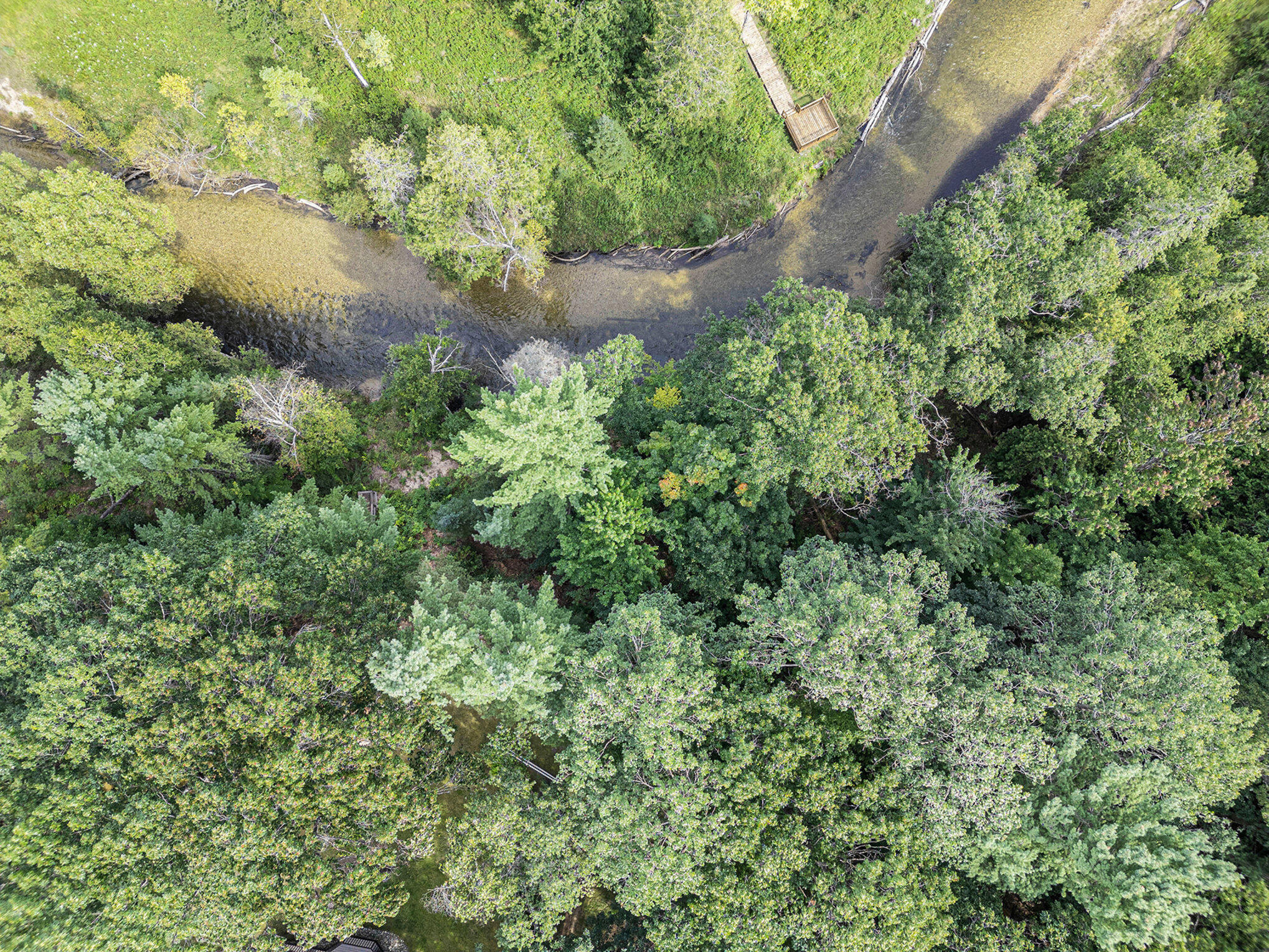 7981 Sturgeon Valley Drive