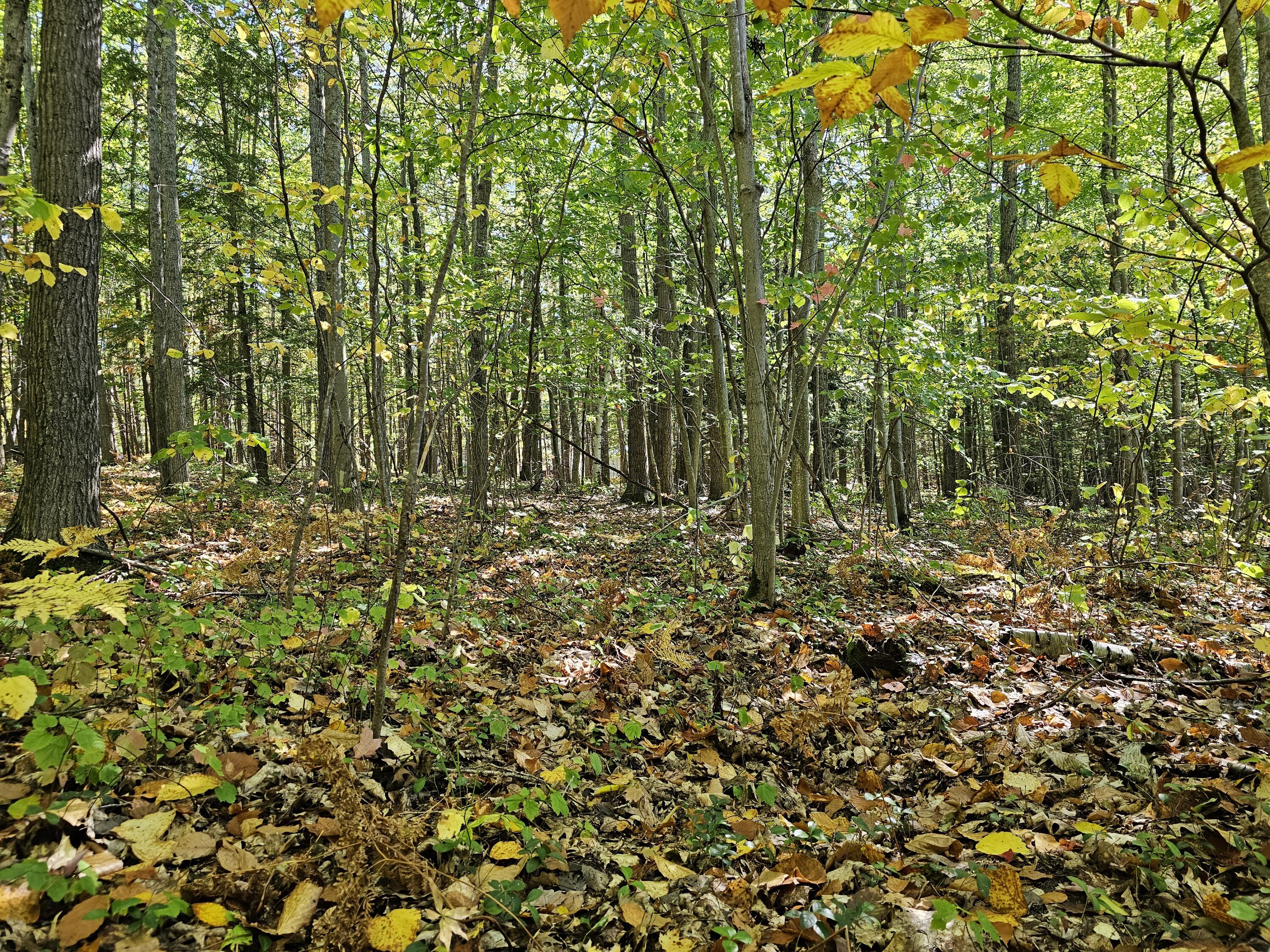 3337 S Extension Road