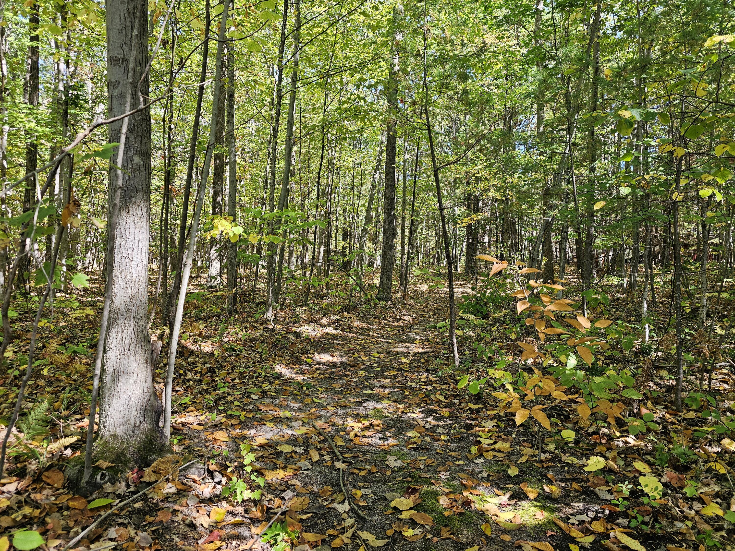 3337 S Extension Road