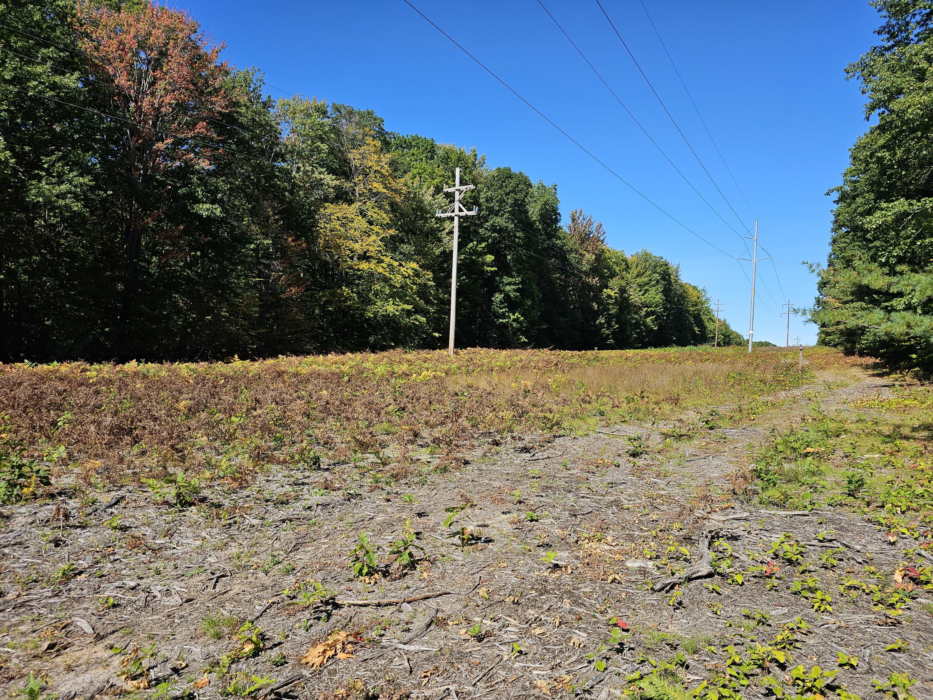 3337 S Extension Road