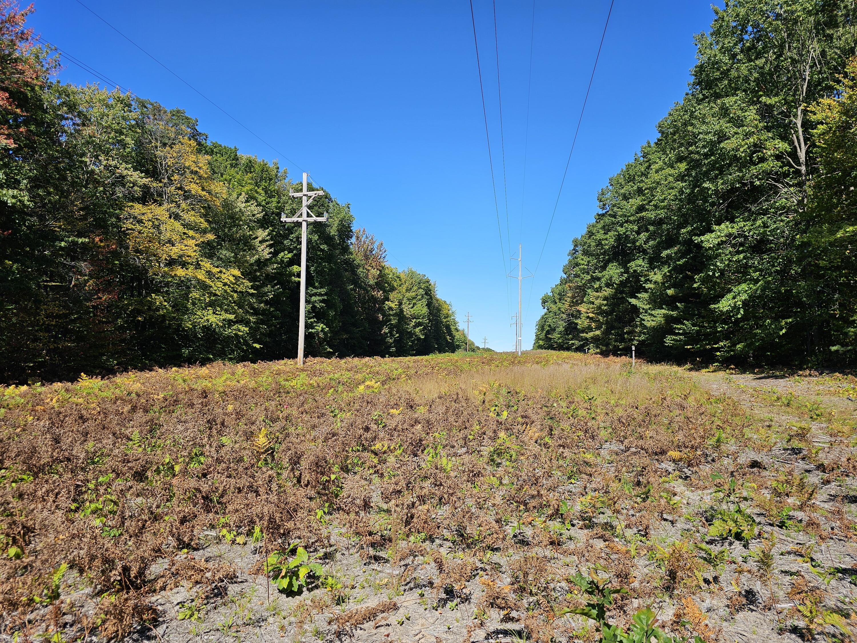 3337 S Extension Road