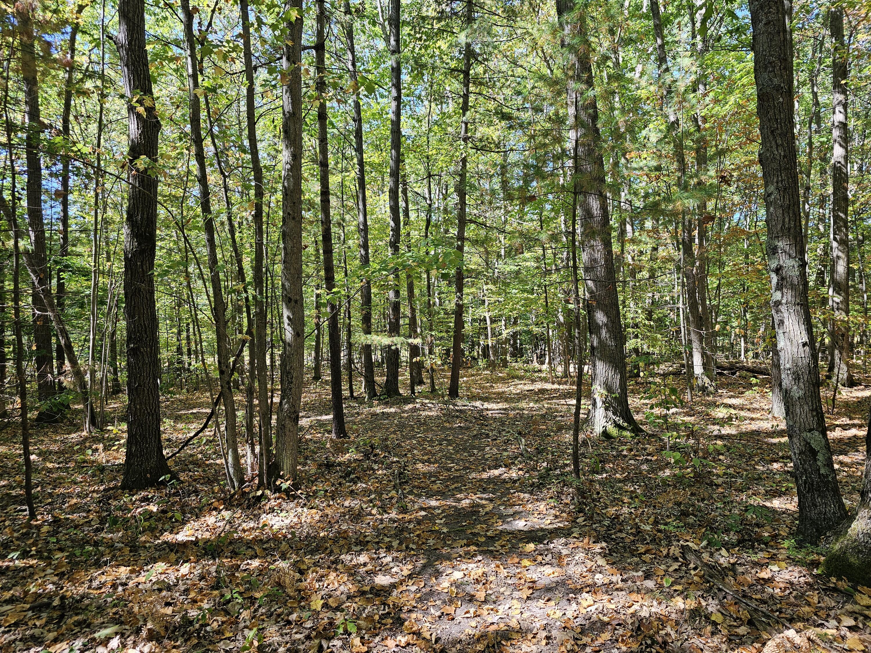 3337 S Extension Road