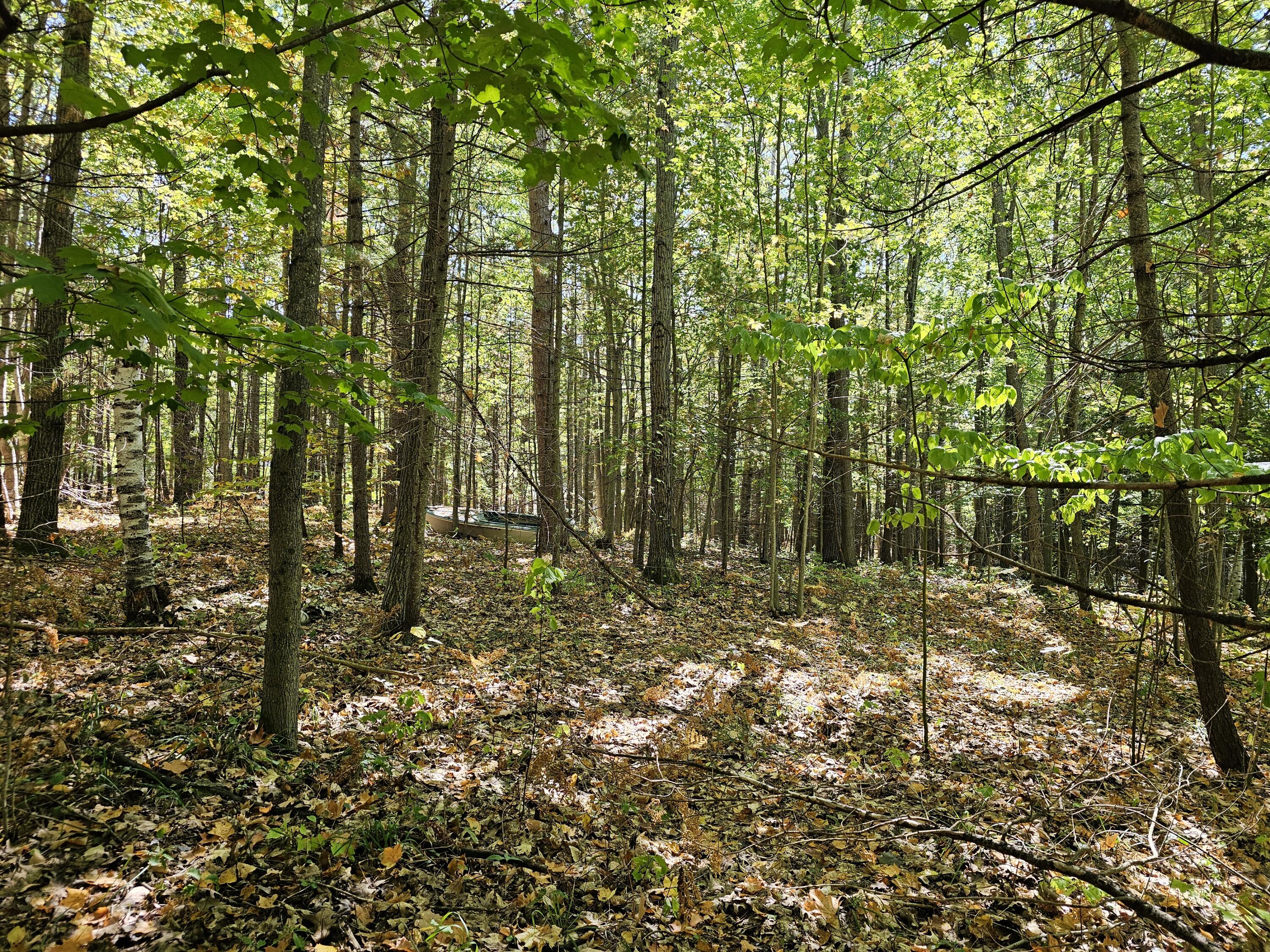 3337 S Extension Road