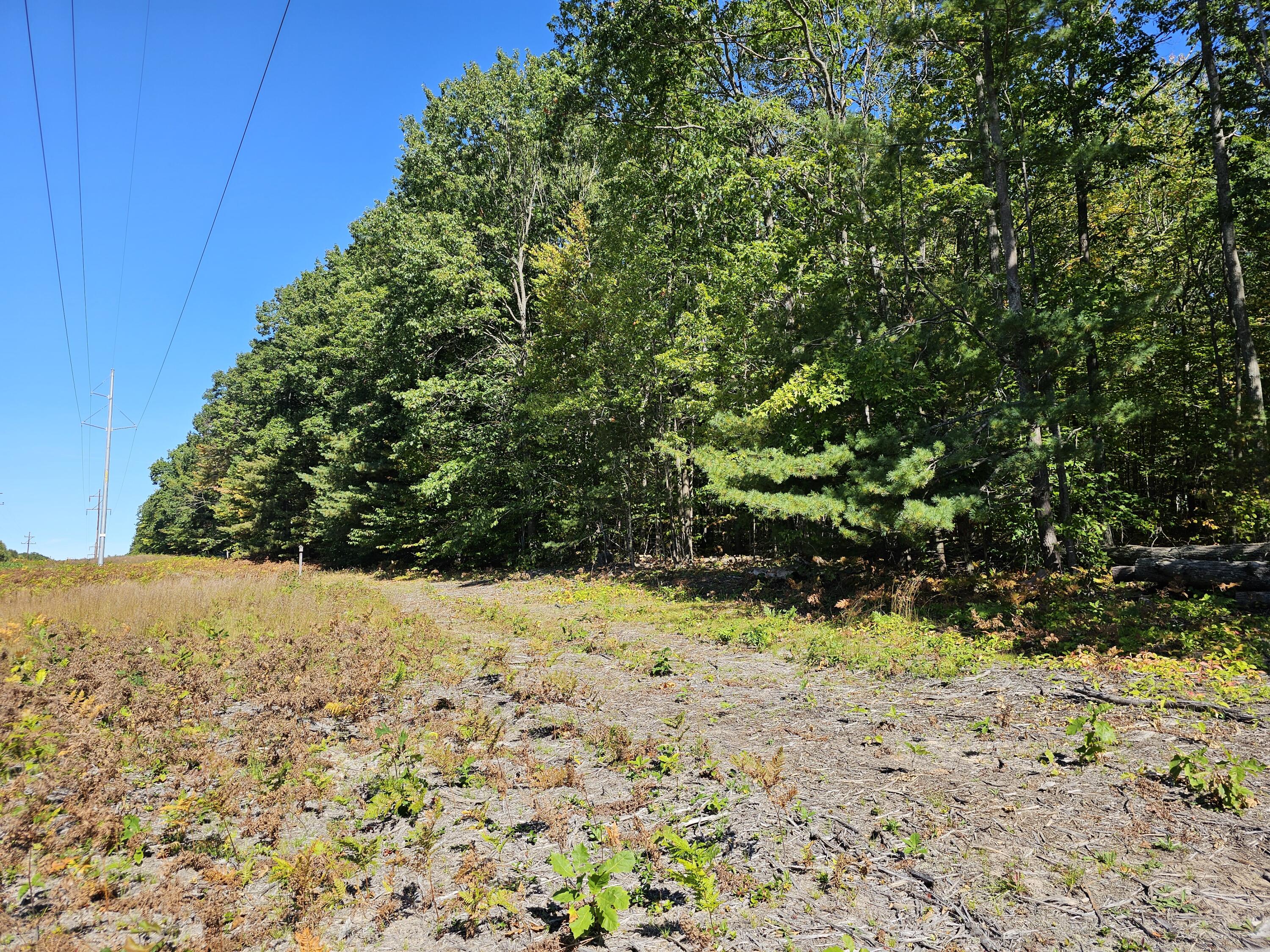 3337 S Extension Road