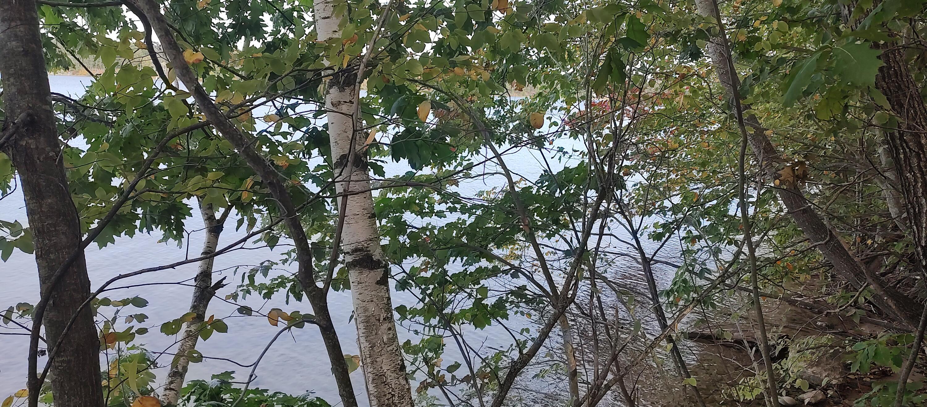 4682&4688 Hiawatha Drive