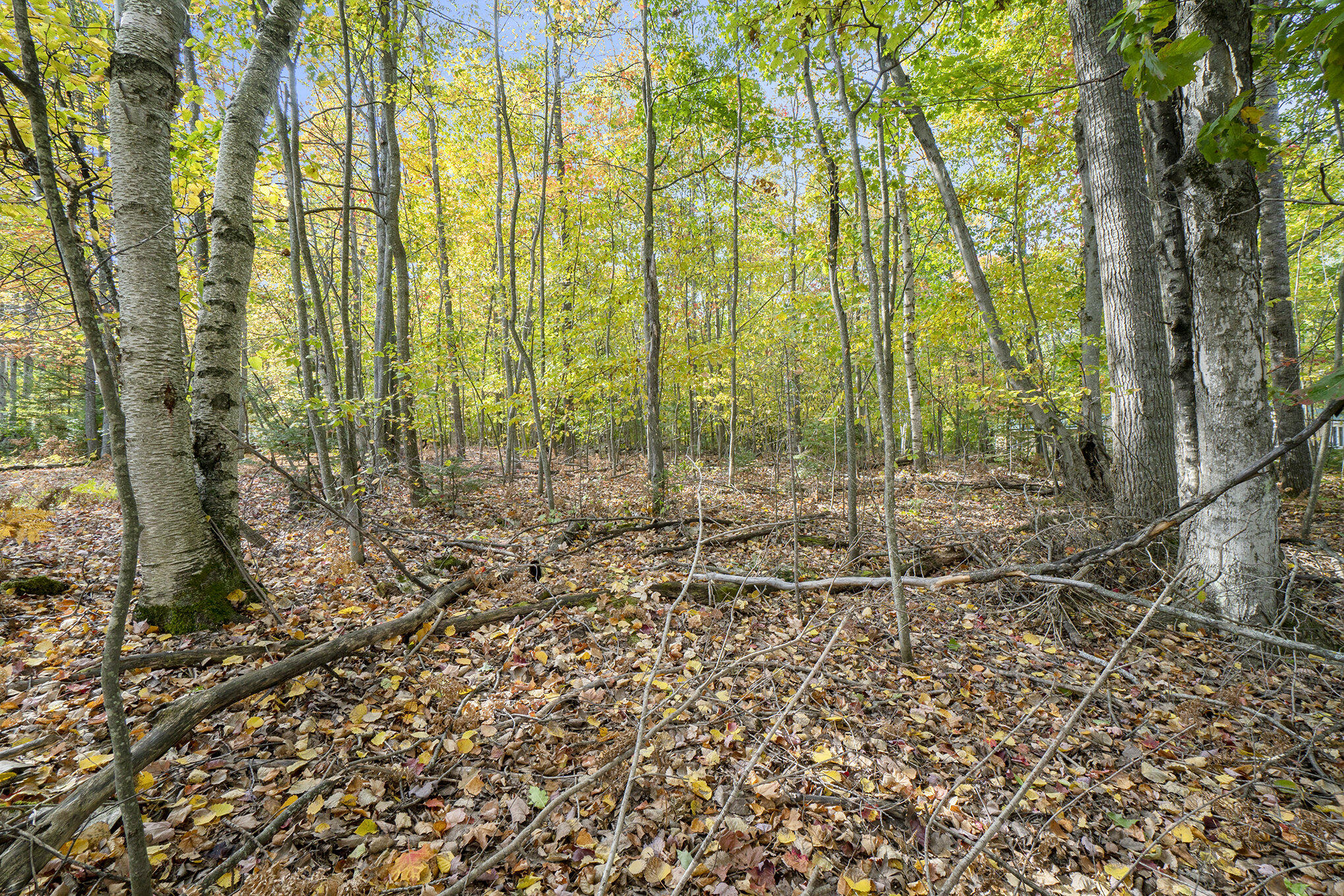 4682&4688 Hiawatha Drive