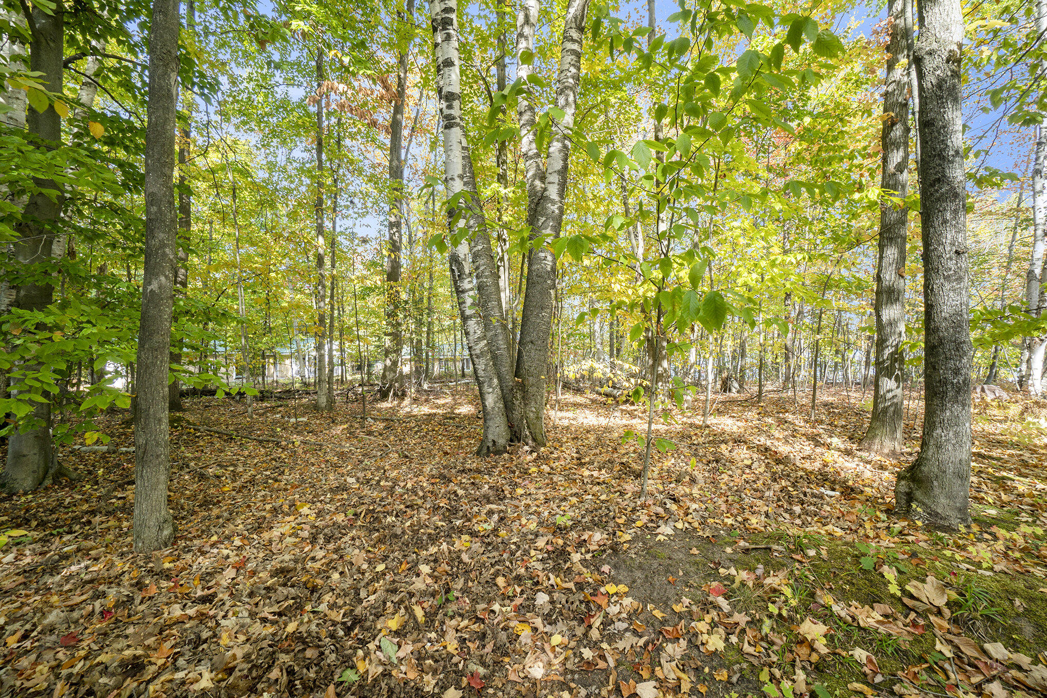 4682&4688 Hiawatha Drive