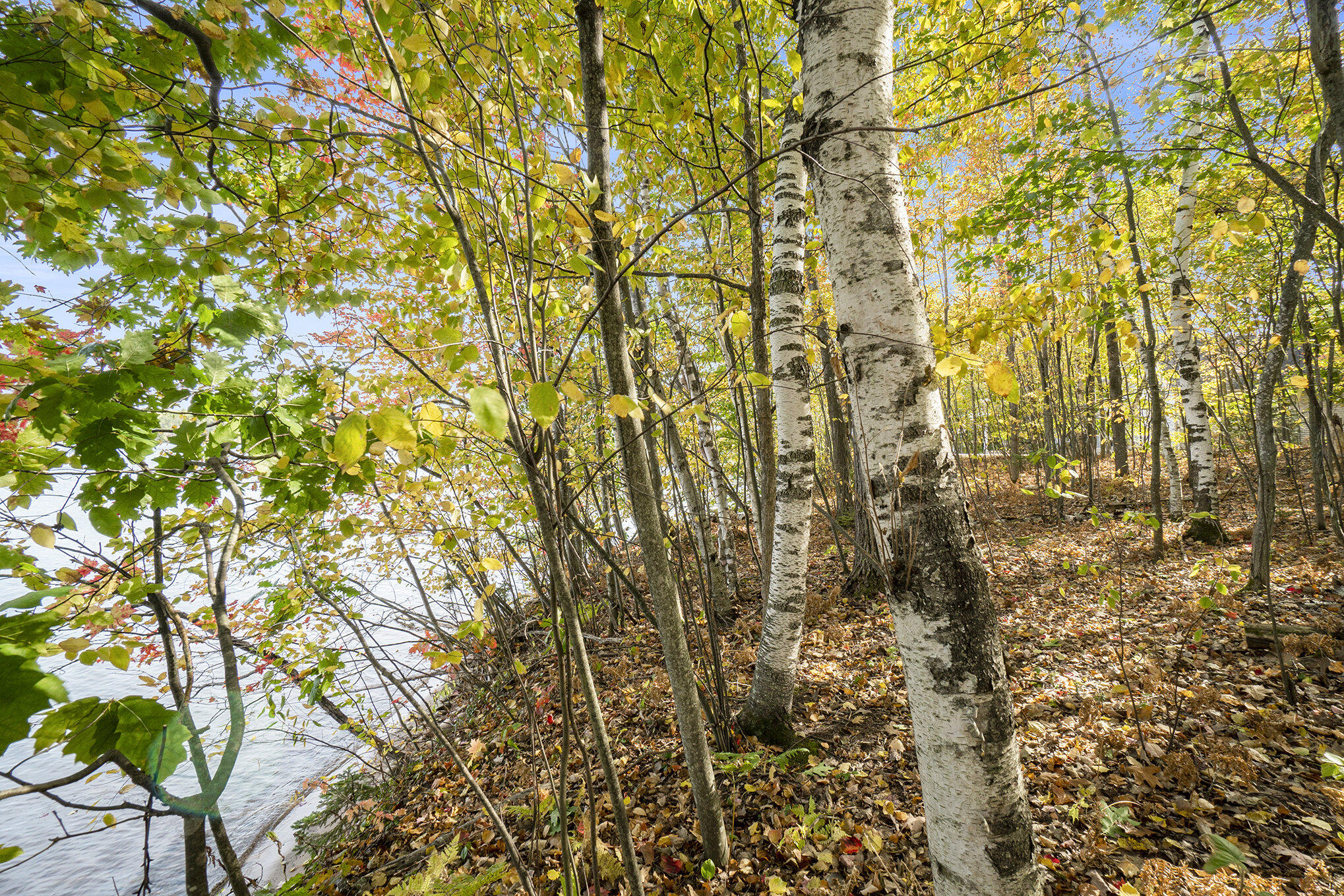 4682&4688 Hiawatha Drive