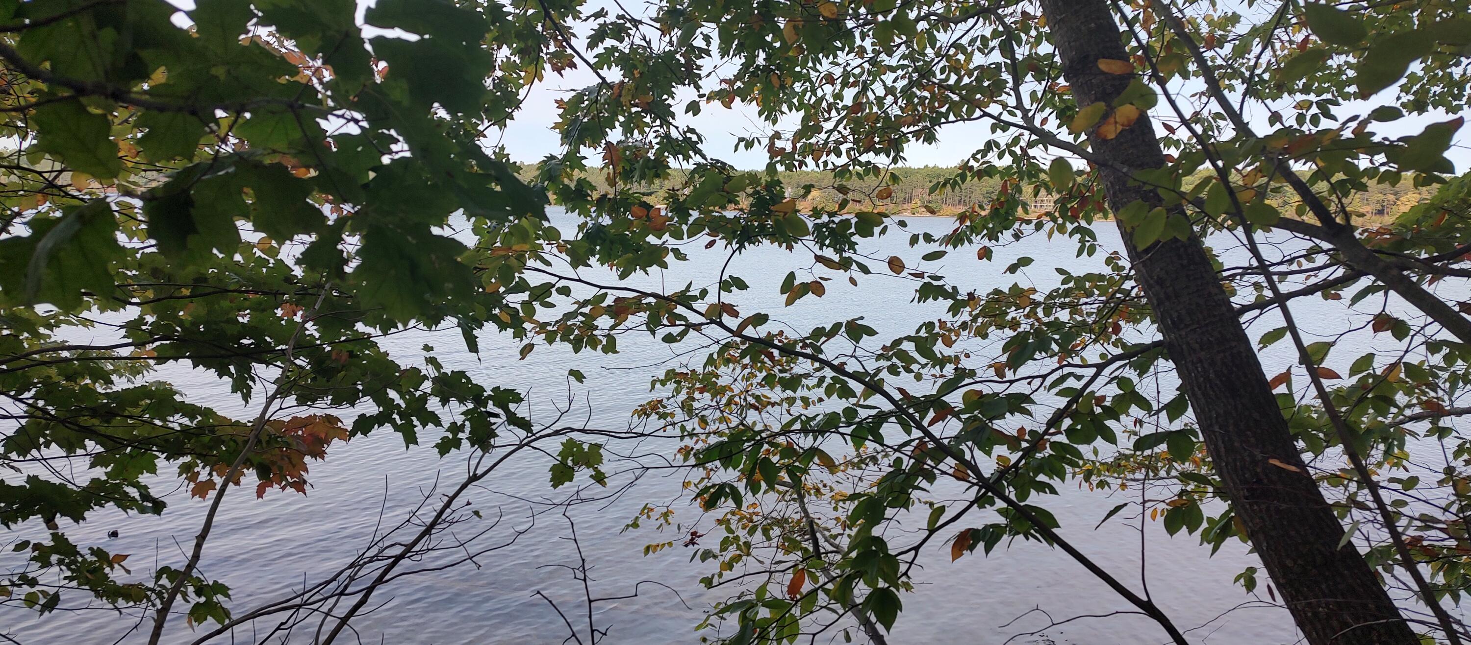 4682&4688 Hiawatha Drive