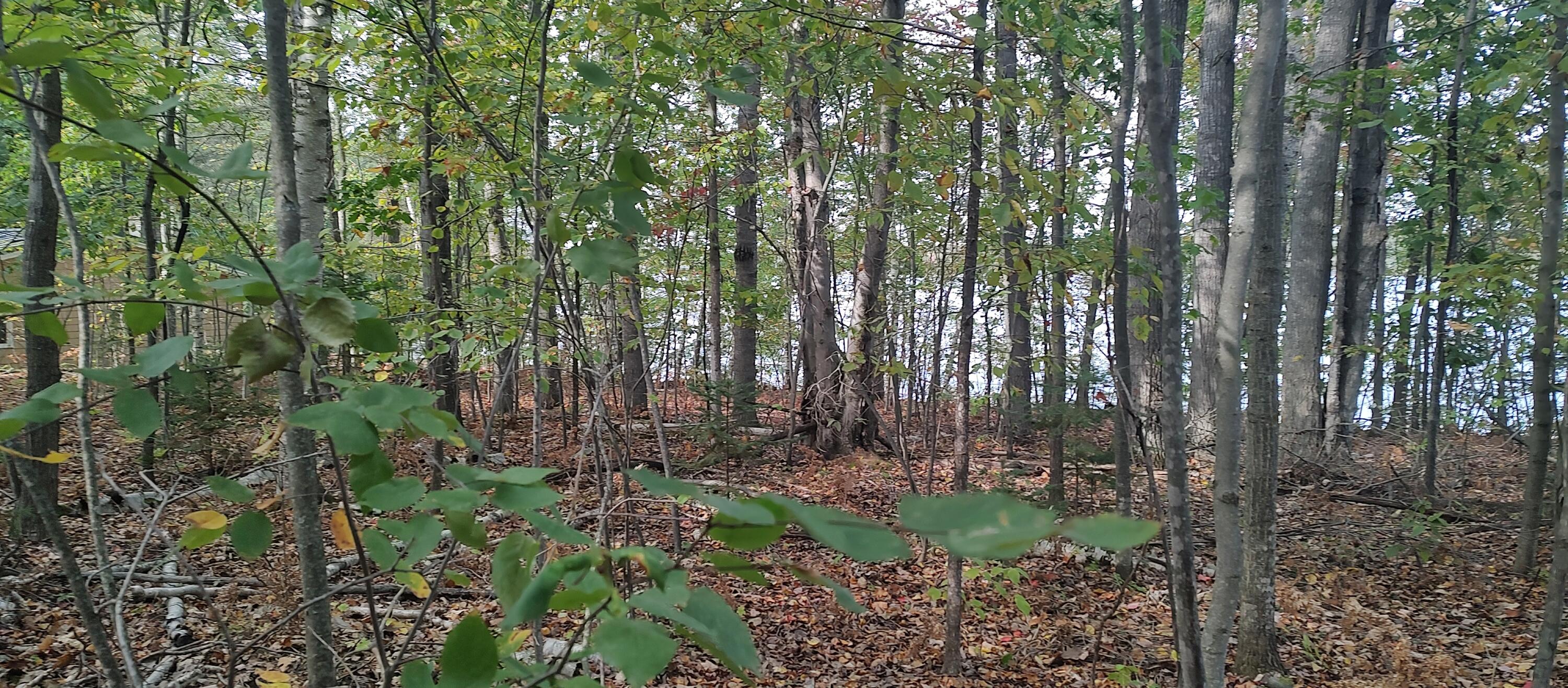 4682&4688 Hiawatha Drive