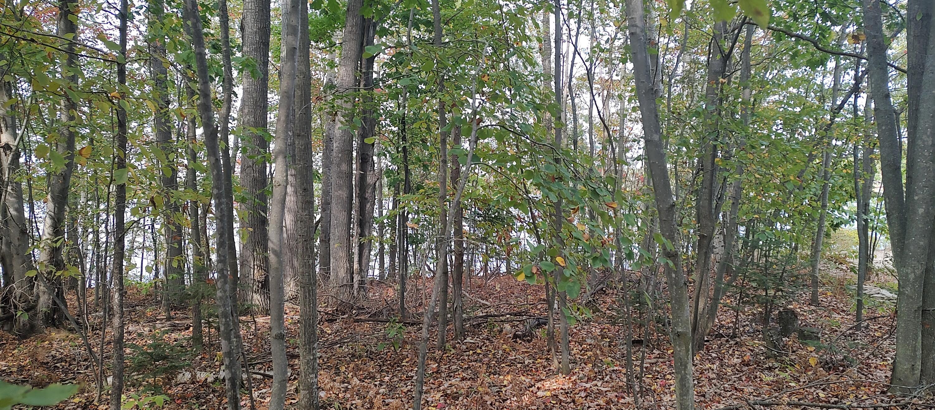 4682&4688 Hiawatha Drive