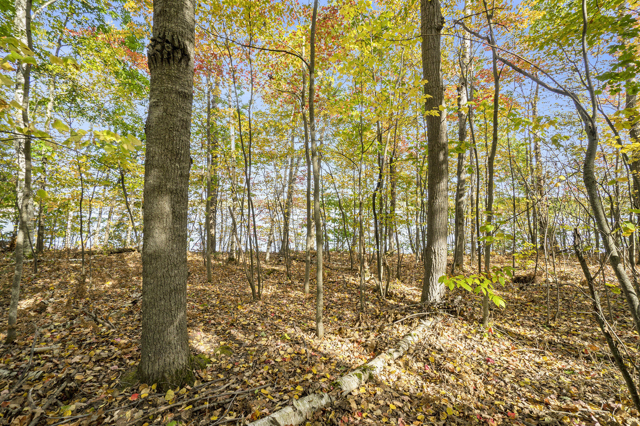 4682&4688 Hiawatha Drive