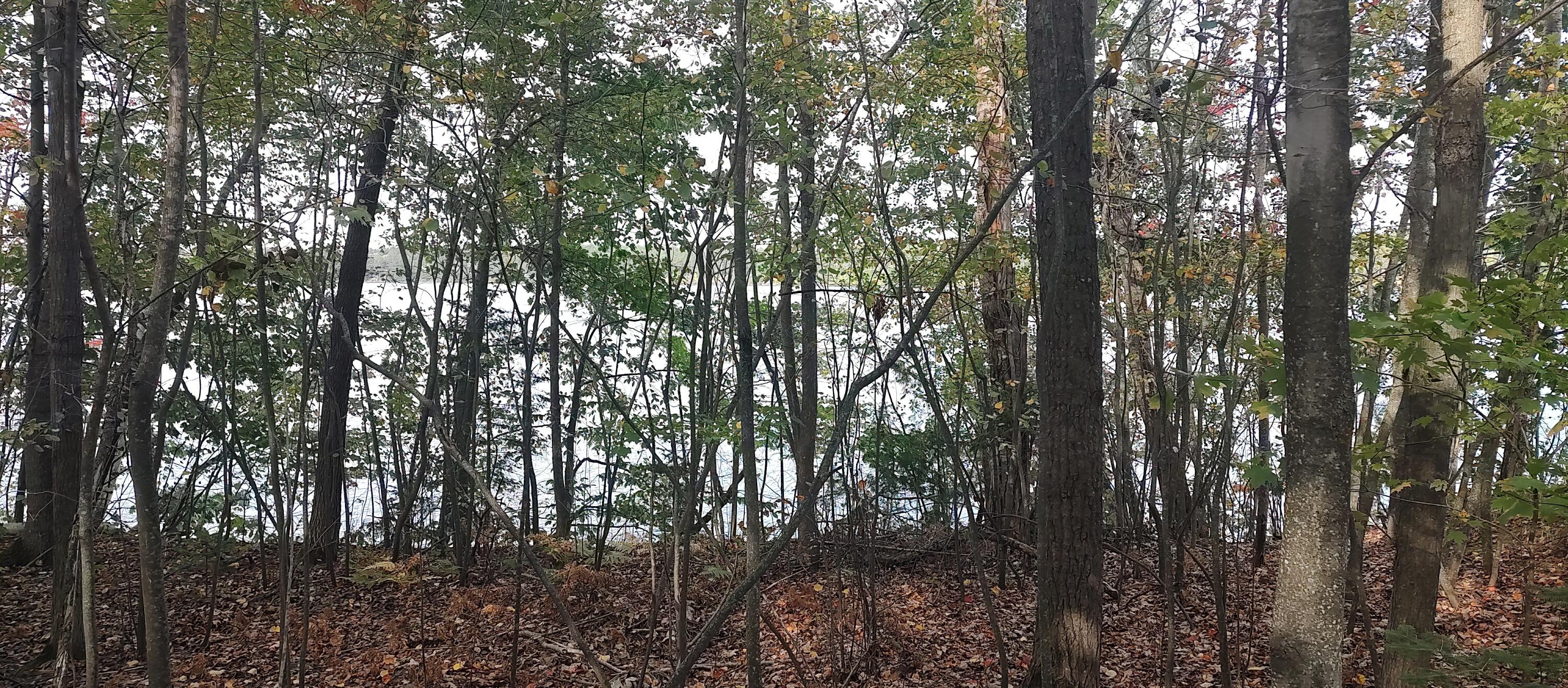 4682&4688 Hiawatha Drive