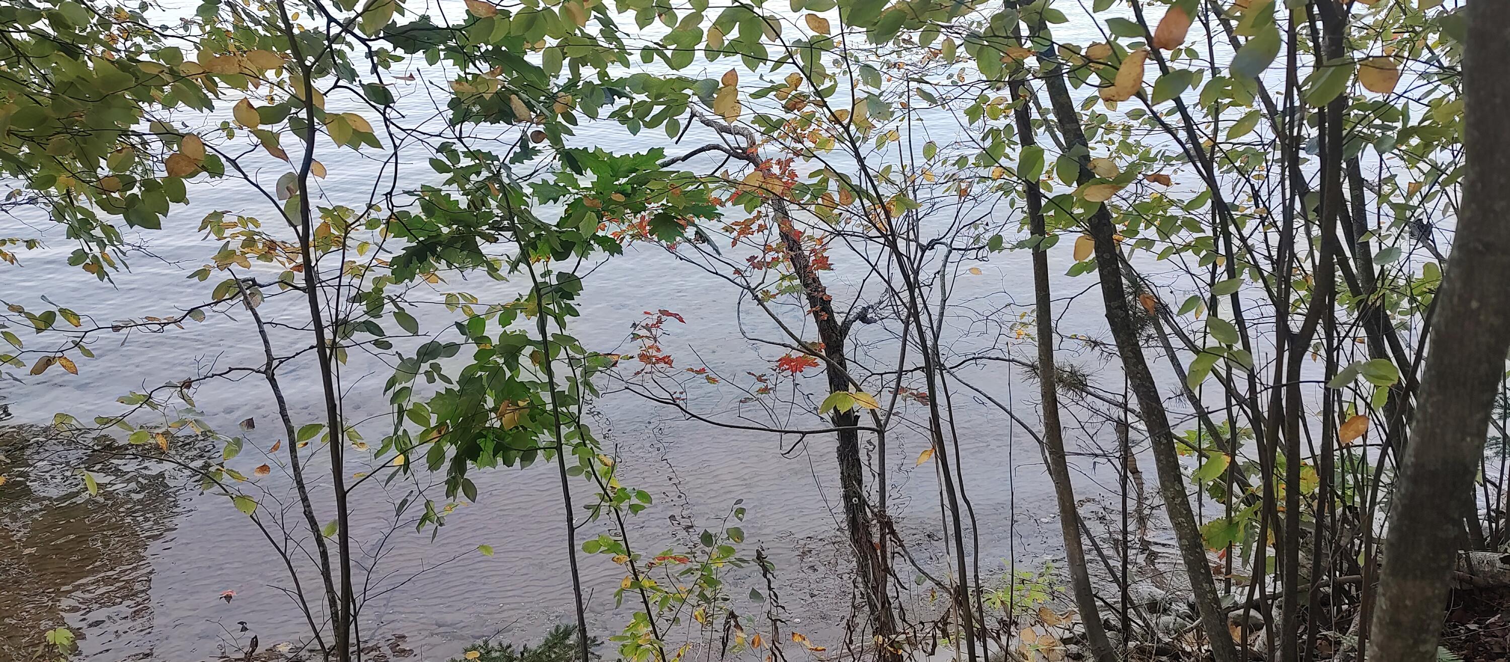 4682&4688 Hiawatha Drive