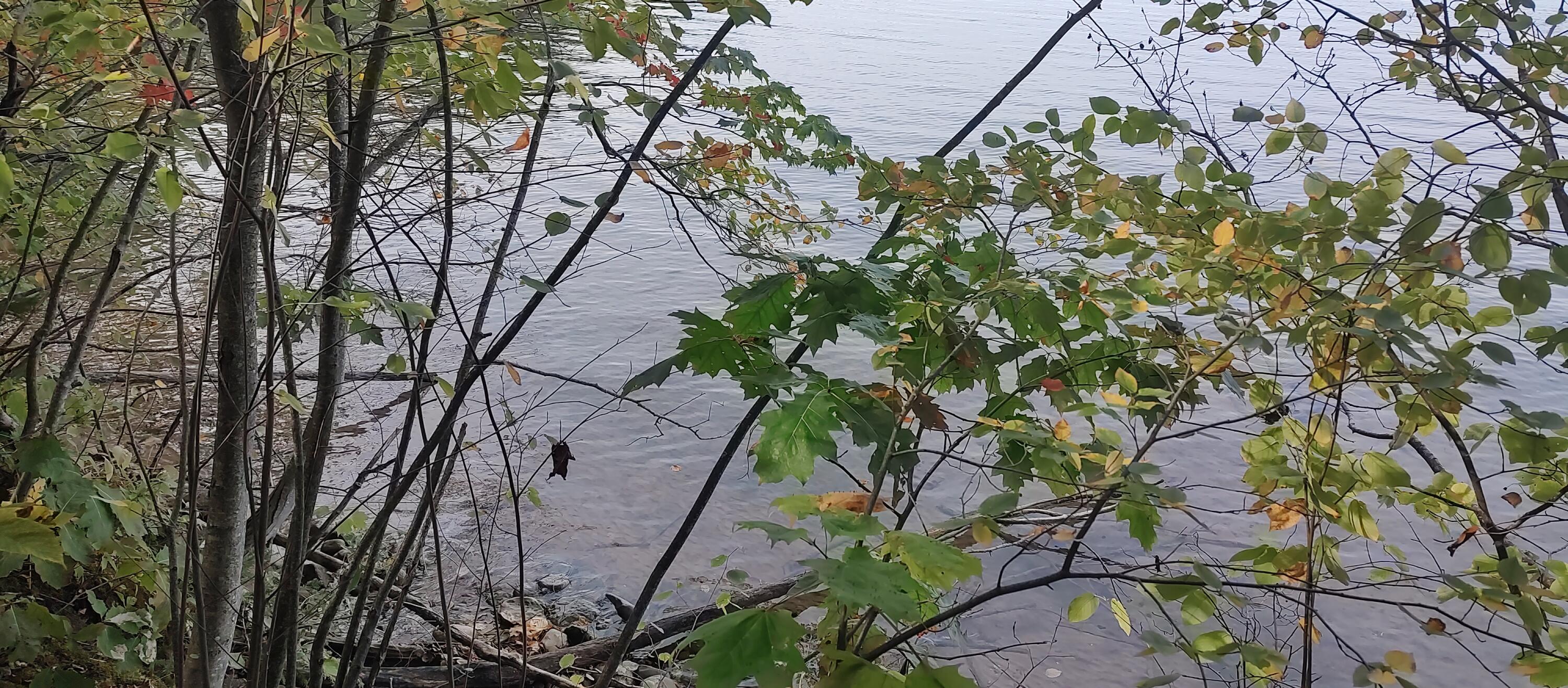 4682&4688 Hiawatha Drive