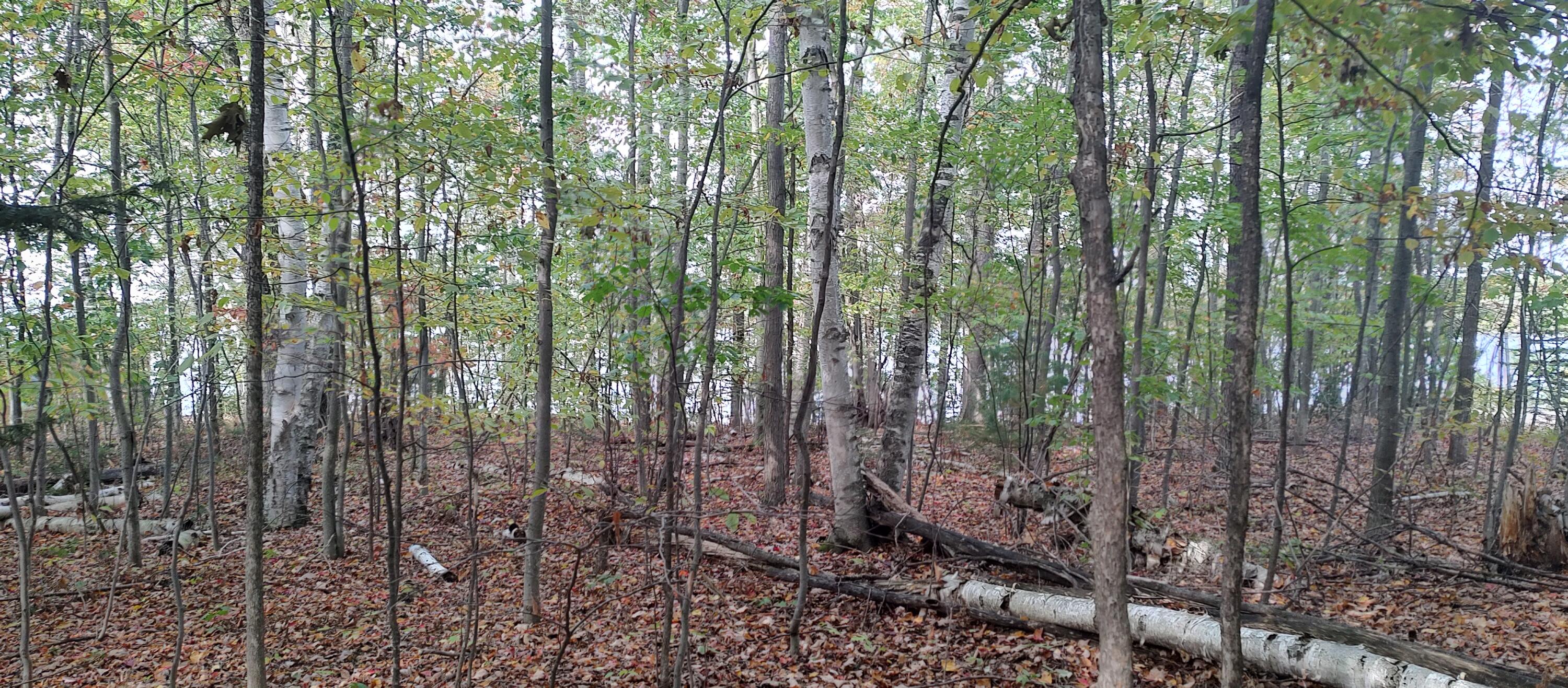 4682&4688 Hiawatha Drive