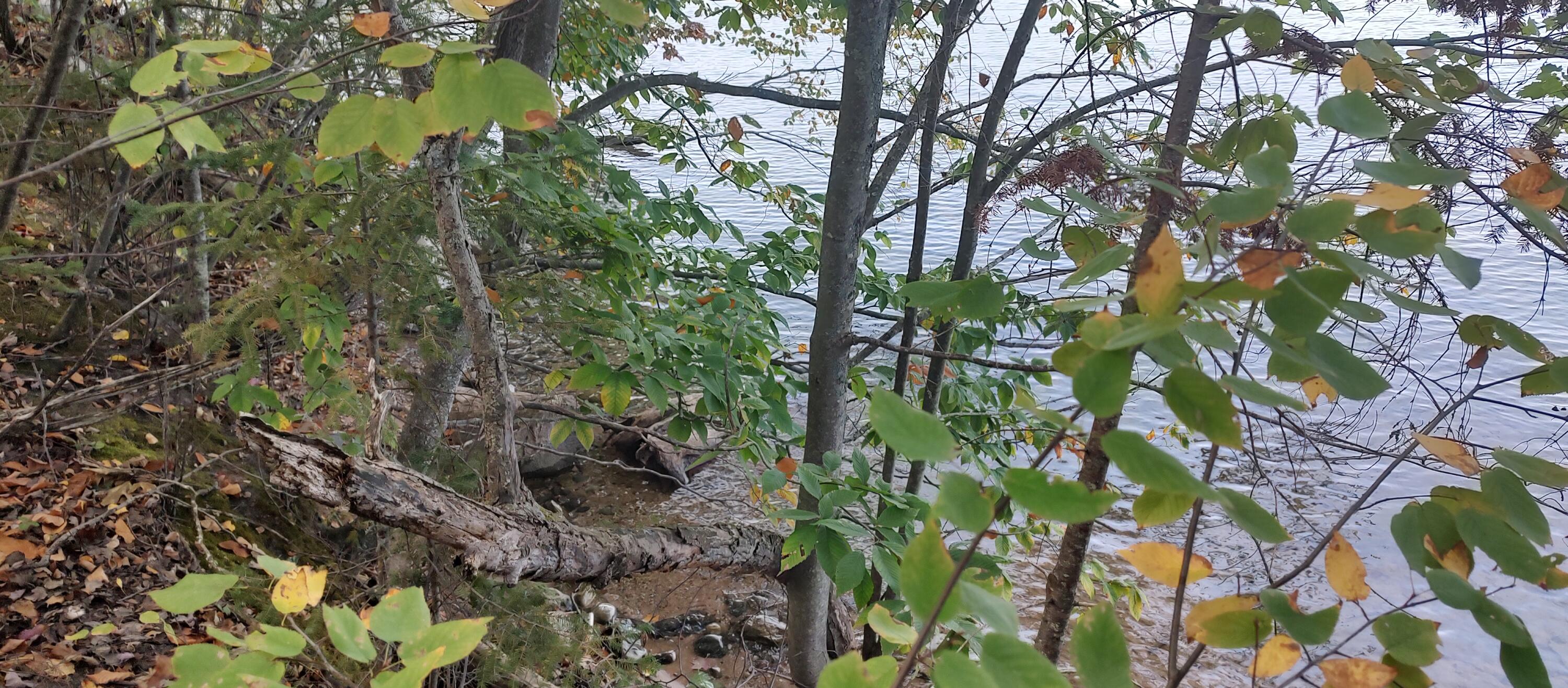 4682&4688 Hiawatha Drive