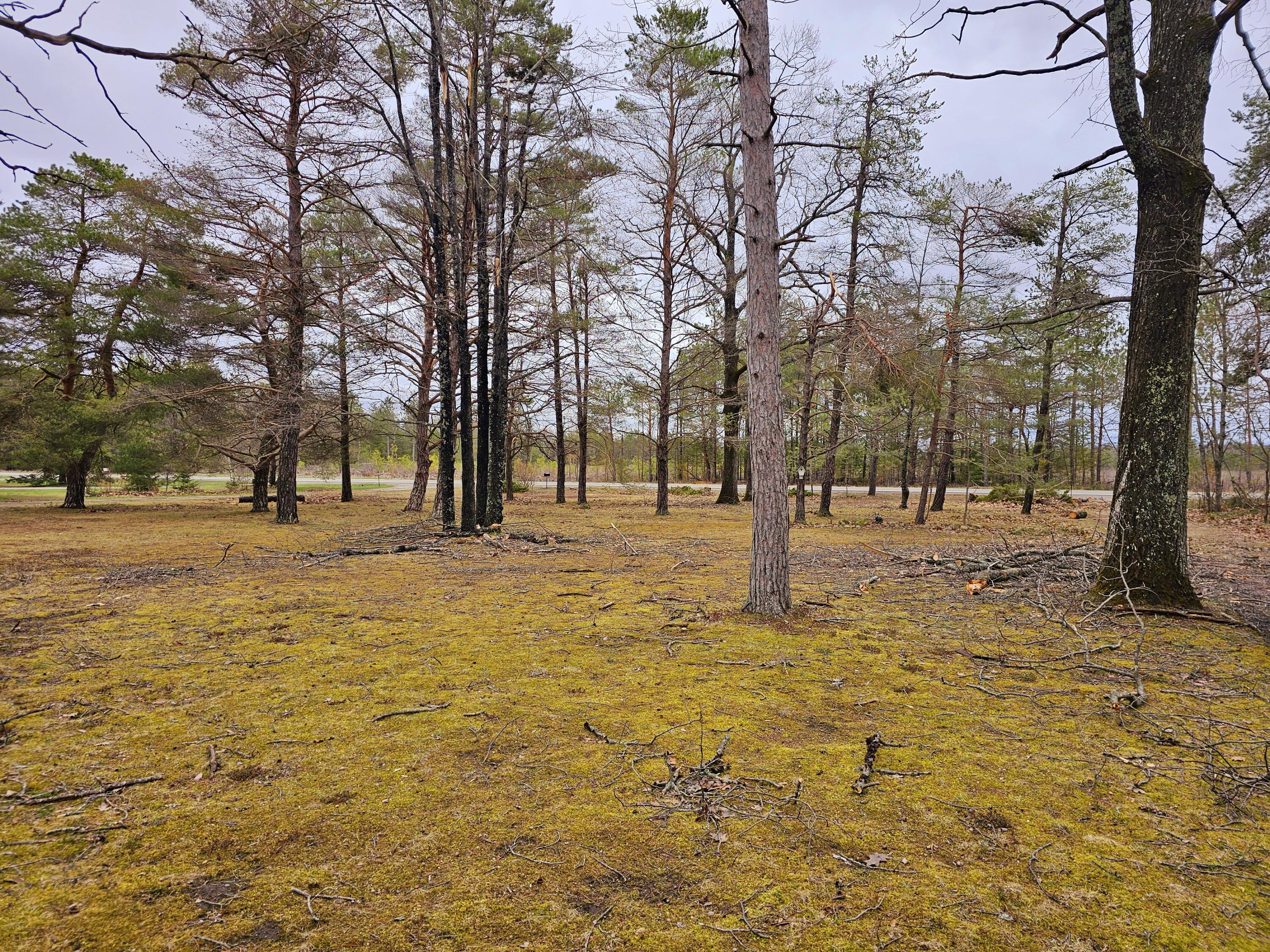 1651 N M-33 Highway