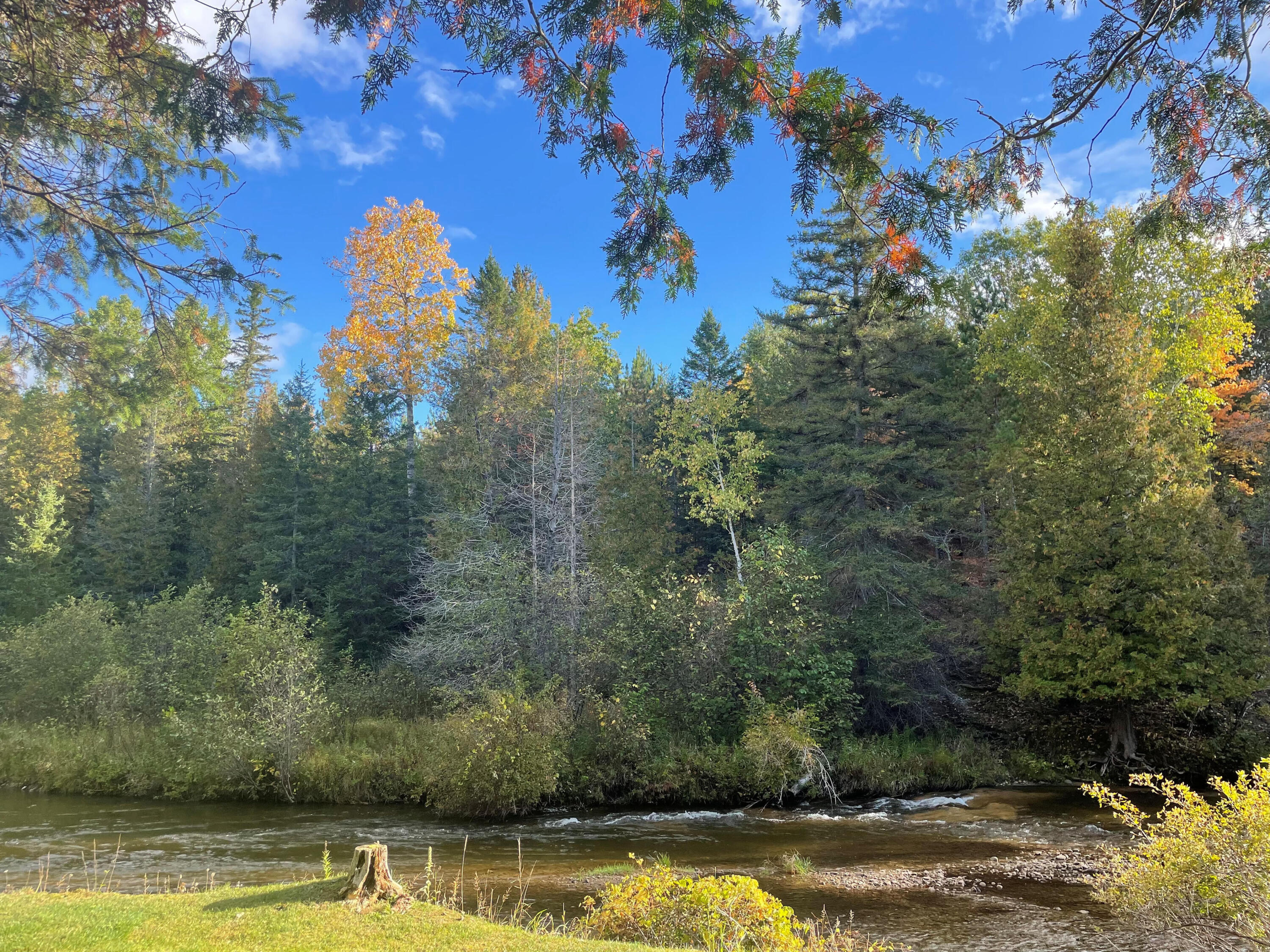 5447 Big Sky Trail Trail