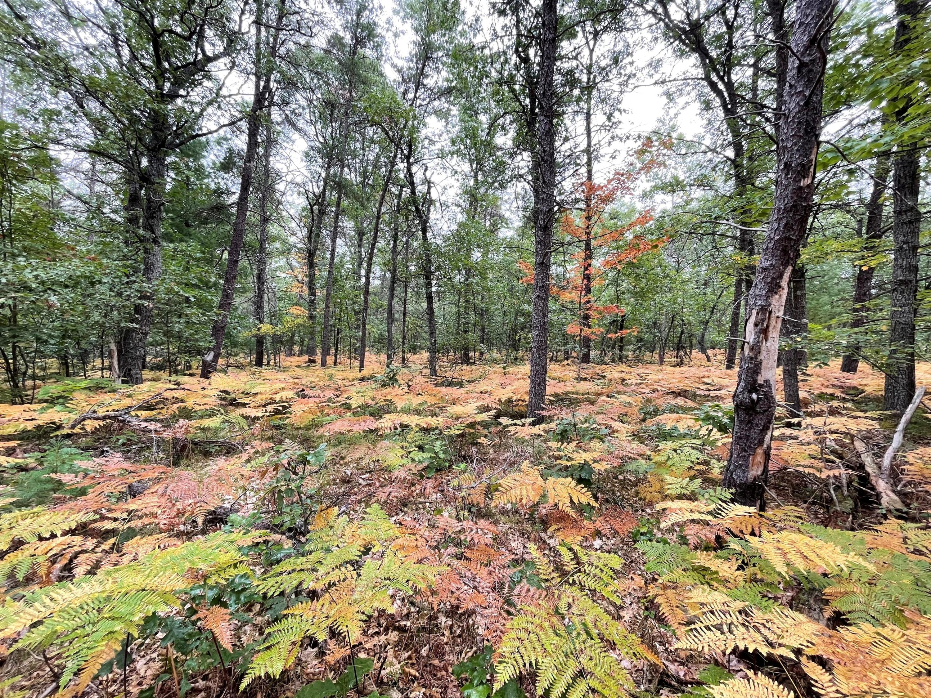 5447 Big Sky Trail Trail