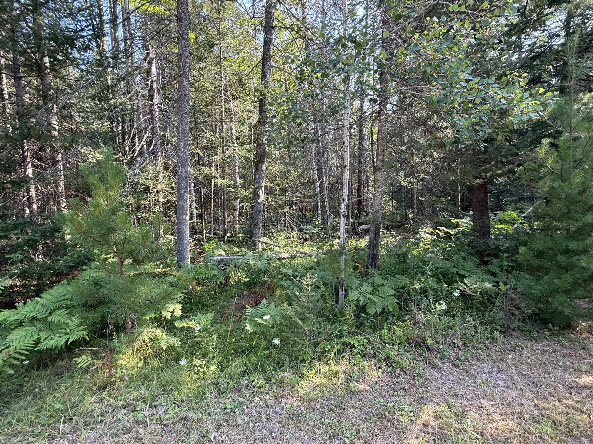 7441 River Bend Drive