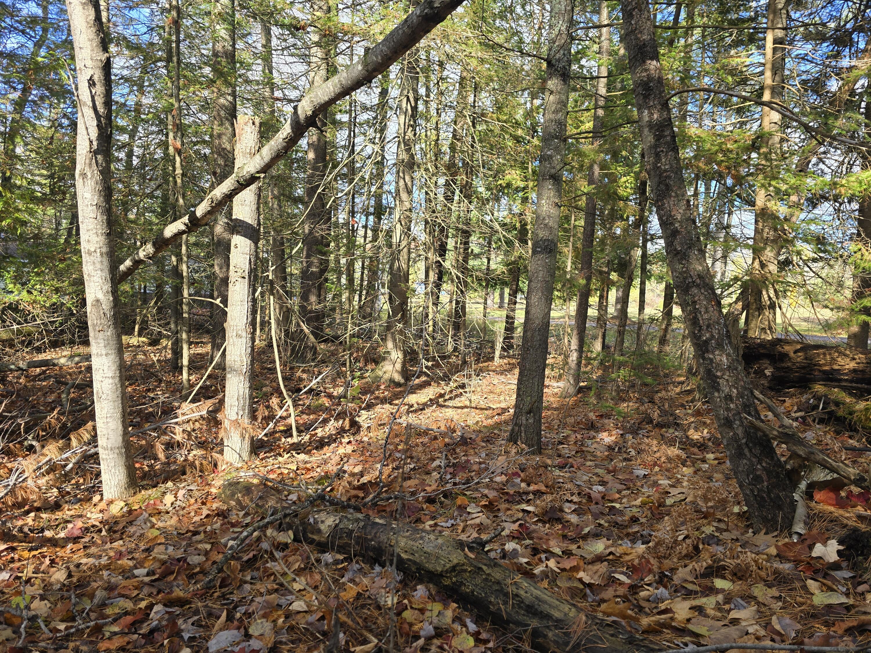 5735 N Straits Highway