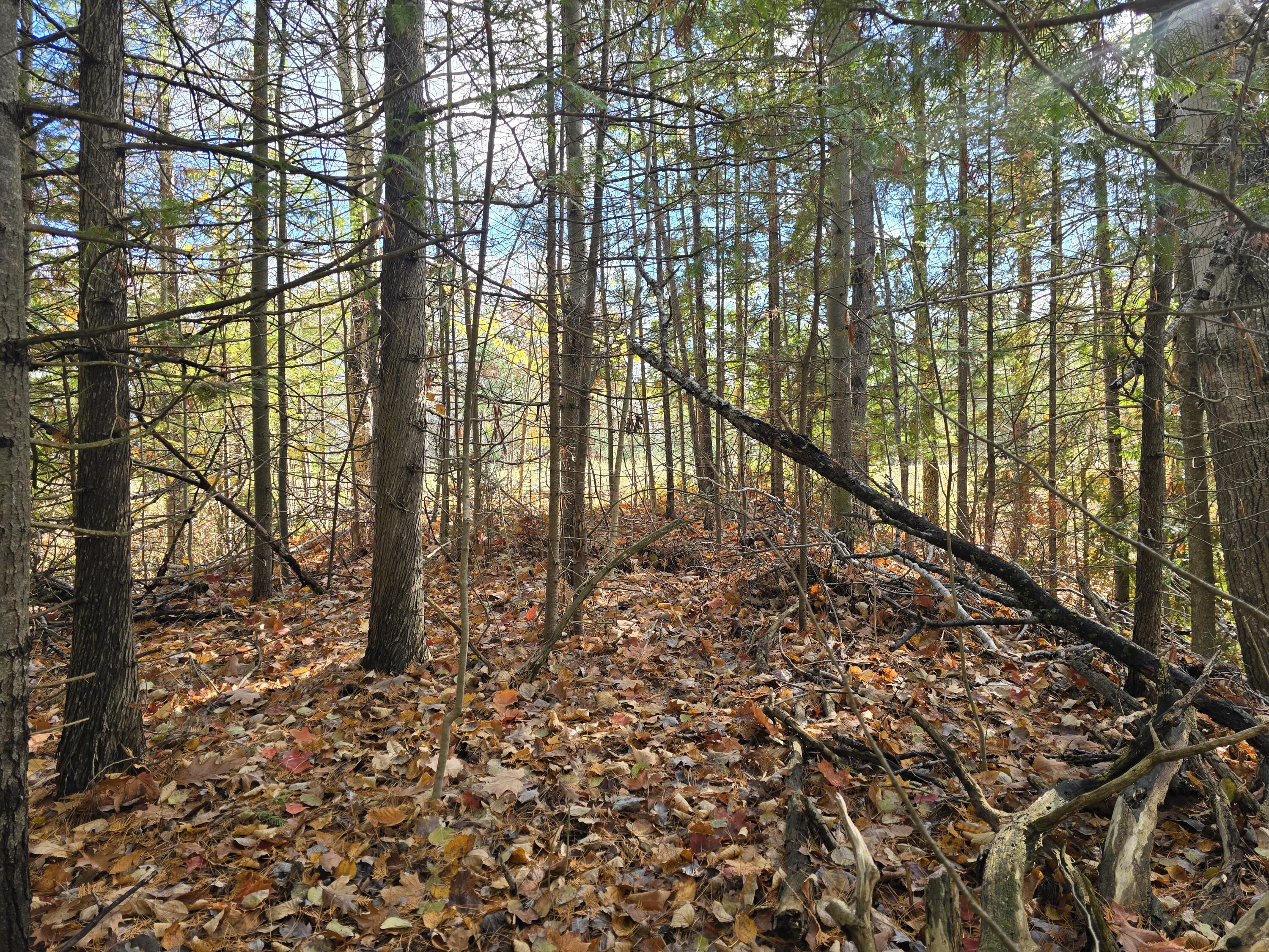 5735 N Straits Highway