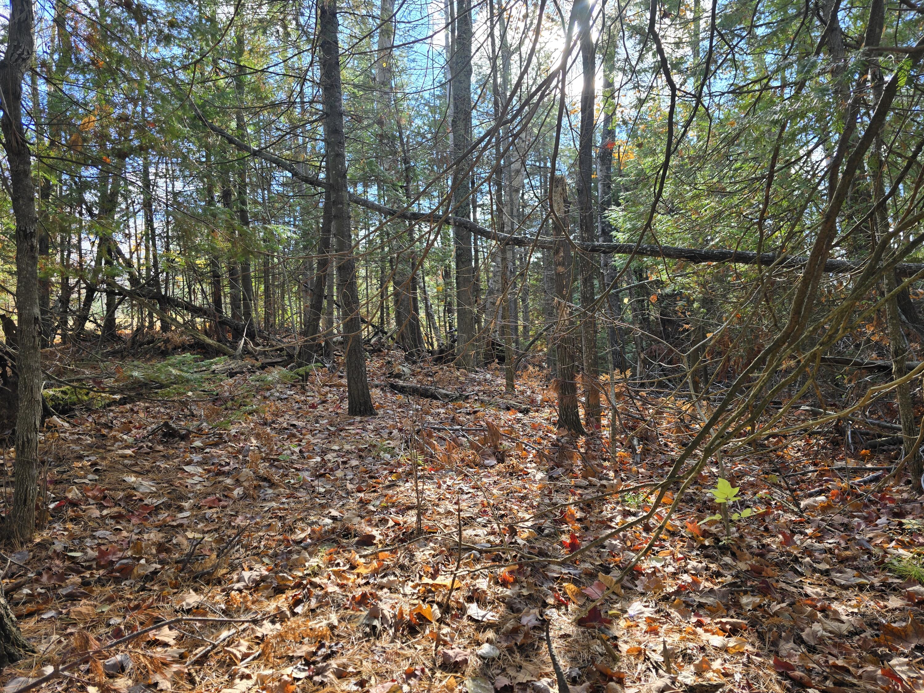 5735 N Straits Highway