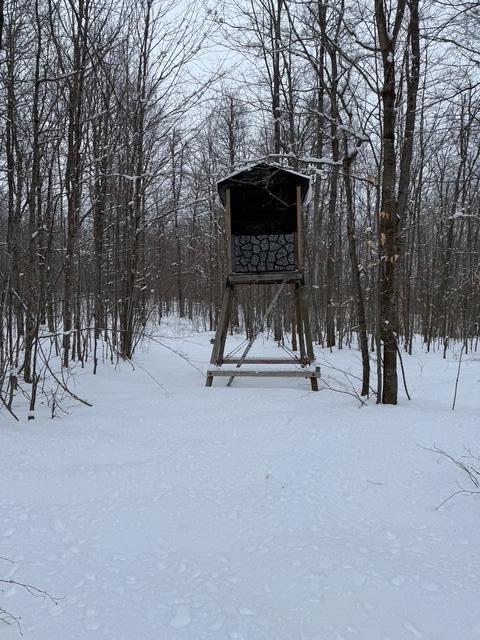 8453/8455 White Road