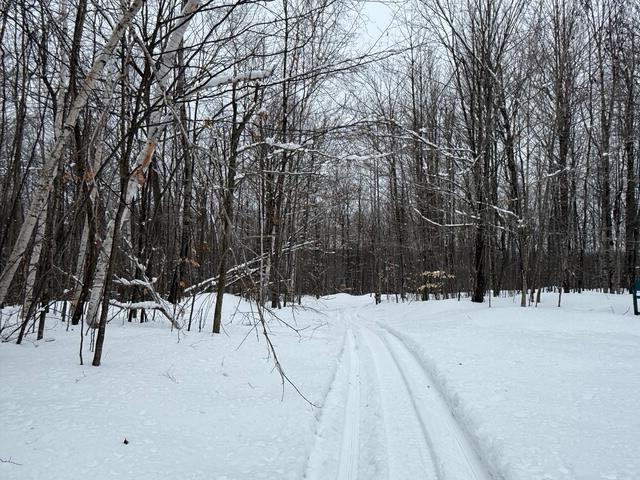 8453/8455 White Road