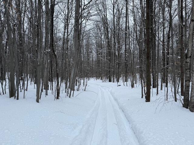 8453/8455 White Road